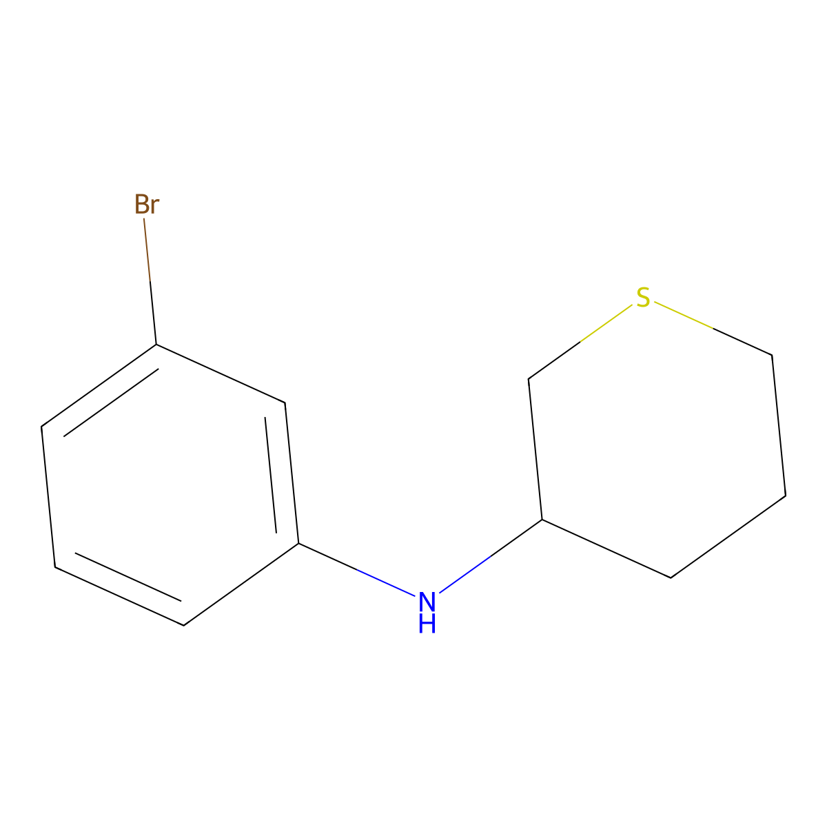 N-(3-bromophenyl)thian-3-amine molecular structure, CAS 1343375-65-4