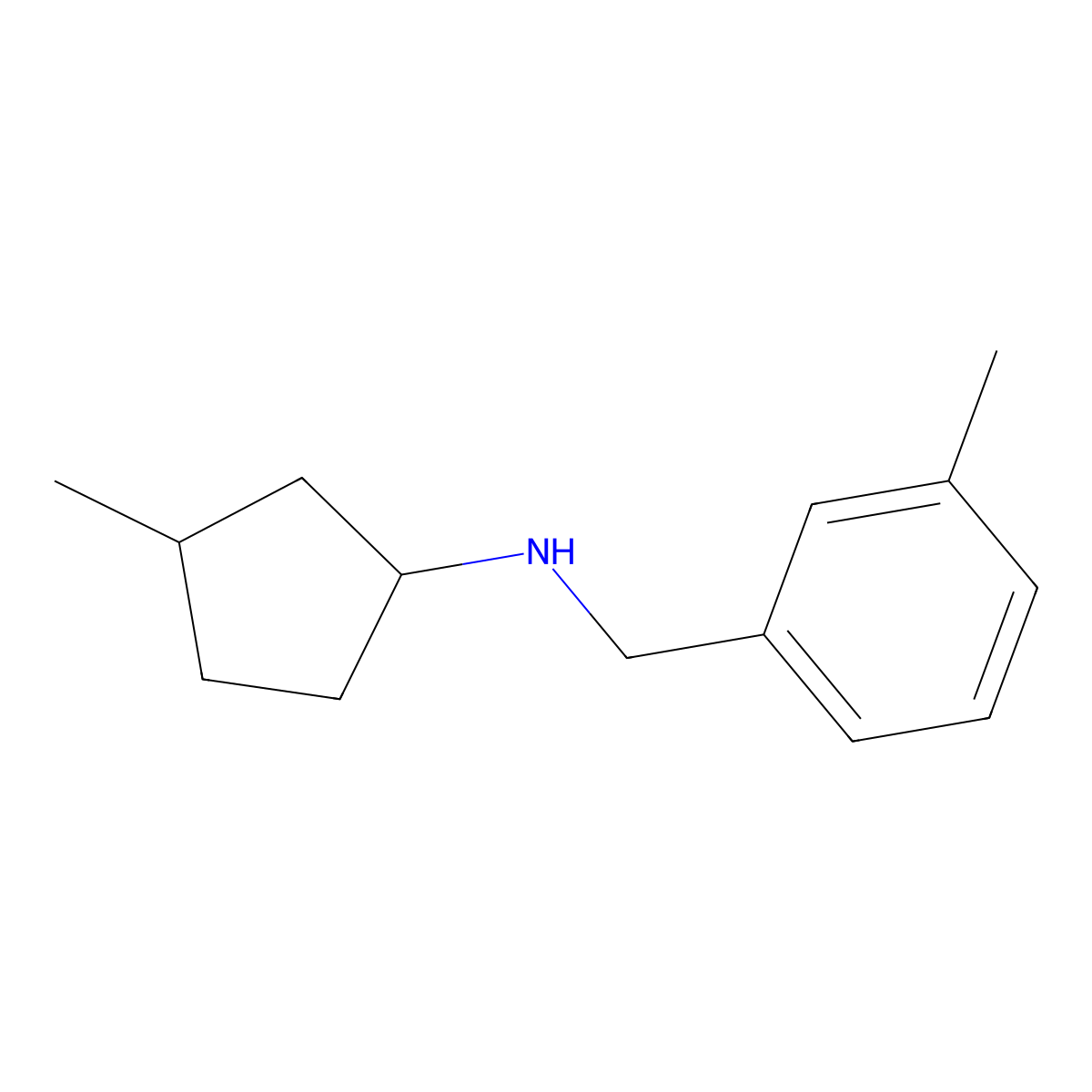 3-methyl-N-[(3-methylphenyl)methyl]cyclopentan-1-amine molecular structure, CAS 1343509-02-3