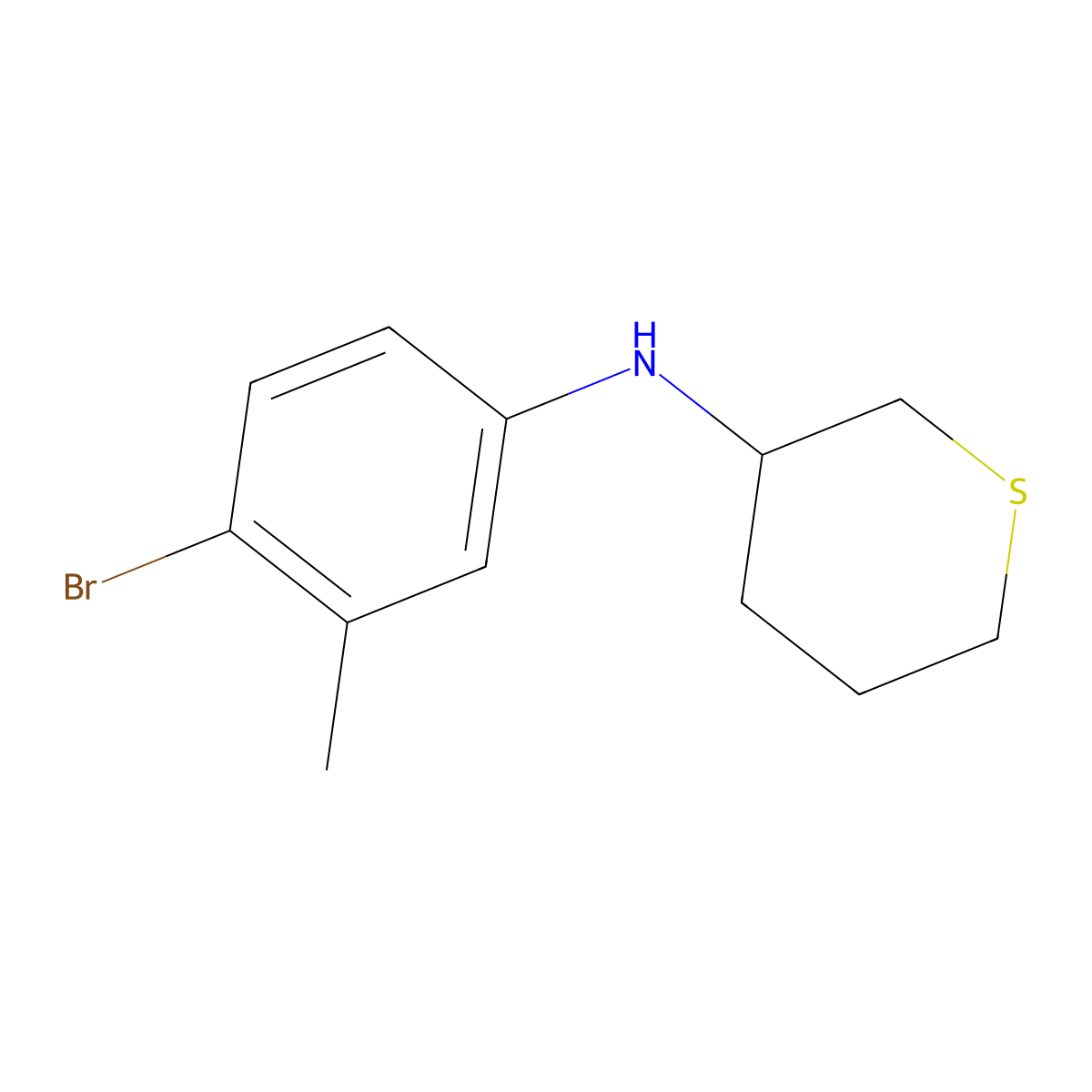 N-(4-bromo-3-methylphenyl)thian-3-amine molecular structure, CAS 1343738-86-2