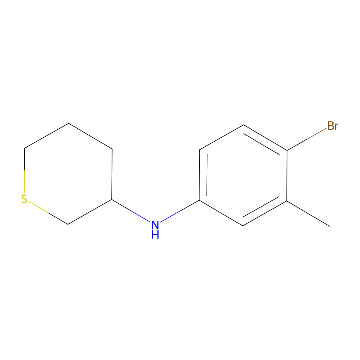 N-(4-bromo-3-methylphenyl)thian-3-amine molecular structure, CAS 1343738-86-2