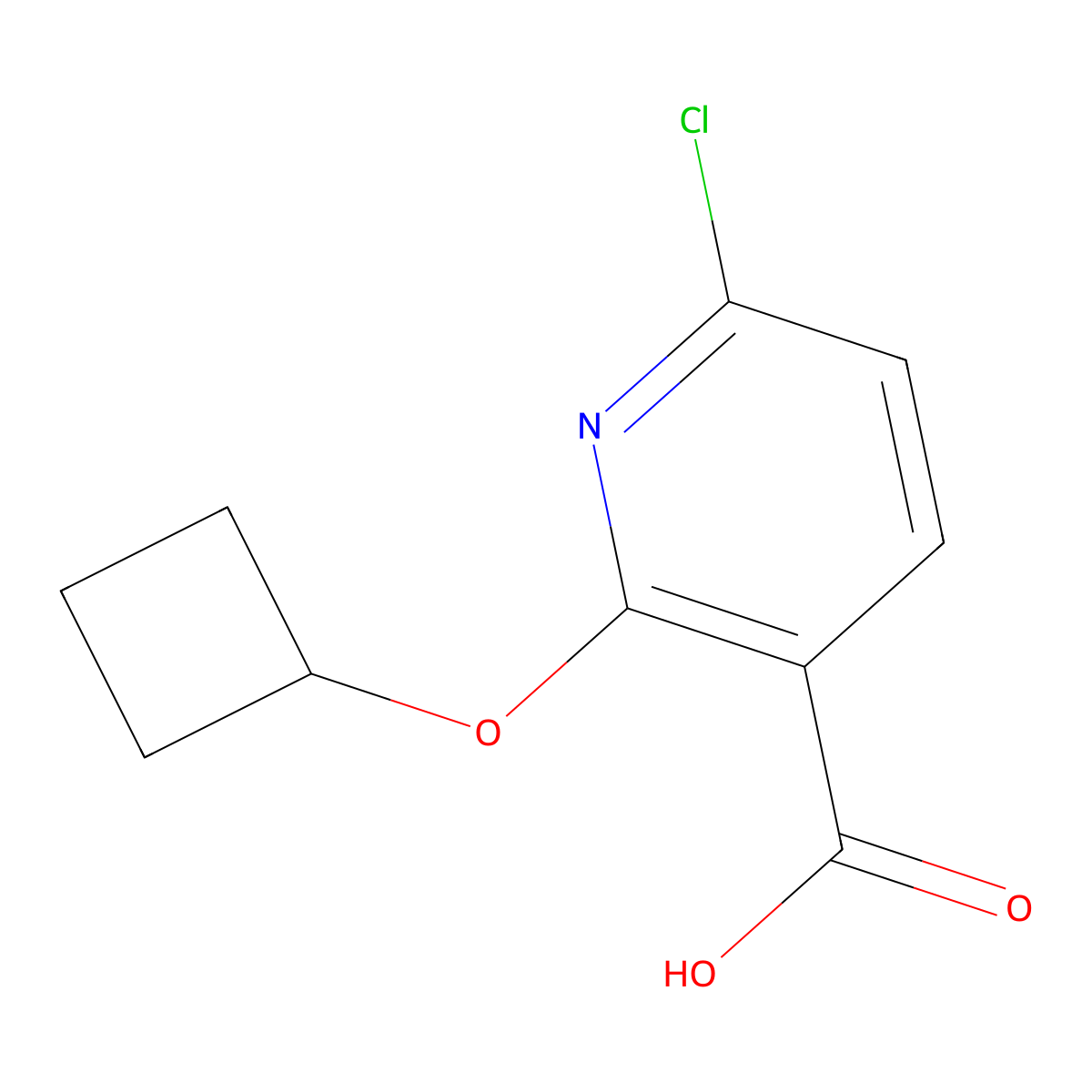 6-Chloro-2-cyclobutoxypyridine-3-carboxylic acid molecular structure, CAS 1343804-87-4
