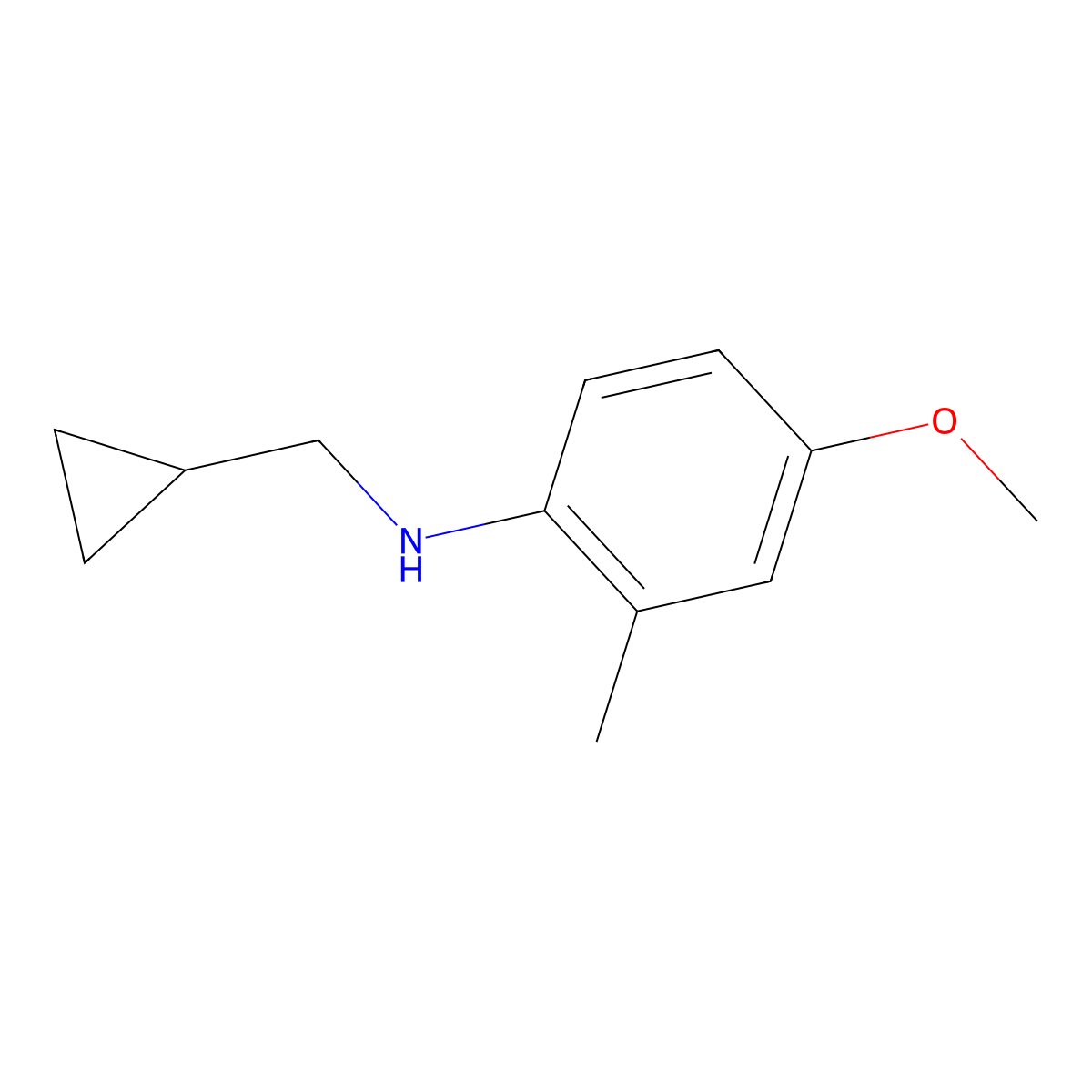 N-(cyclopropylmethyl)-4-methoxy-2-methylaniline molecular structure, CAS 1343897-73-3