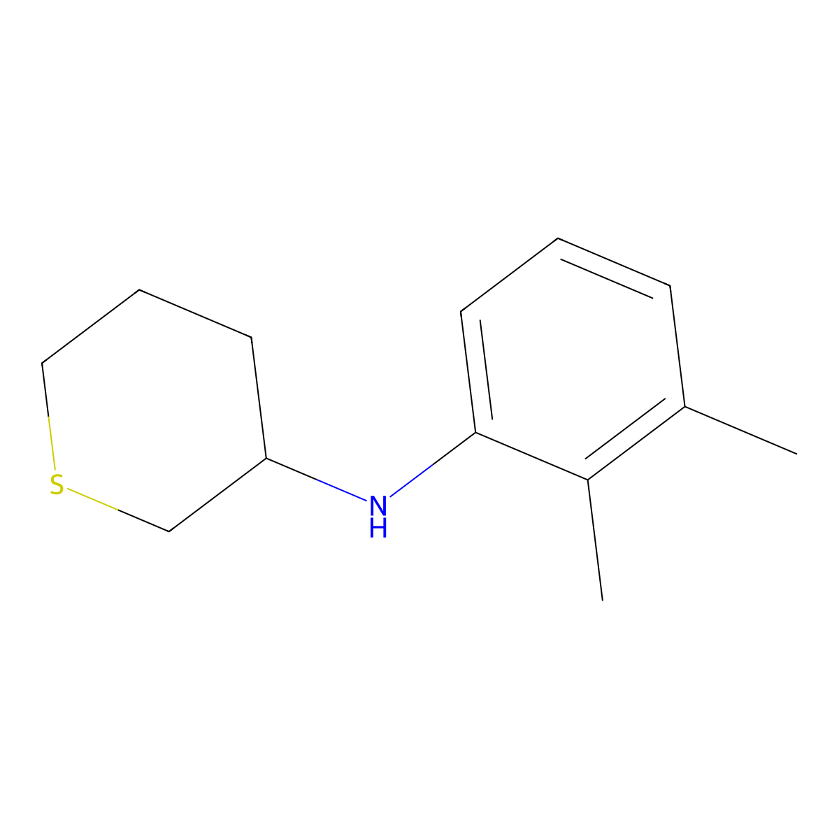 N-(2,3-dimethylphenyl)thian-3-amine molecular structure, CAS 1344043-95-3
