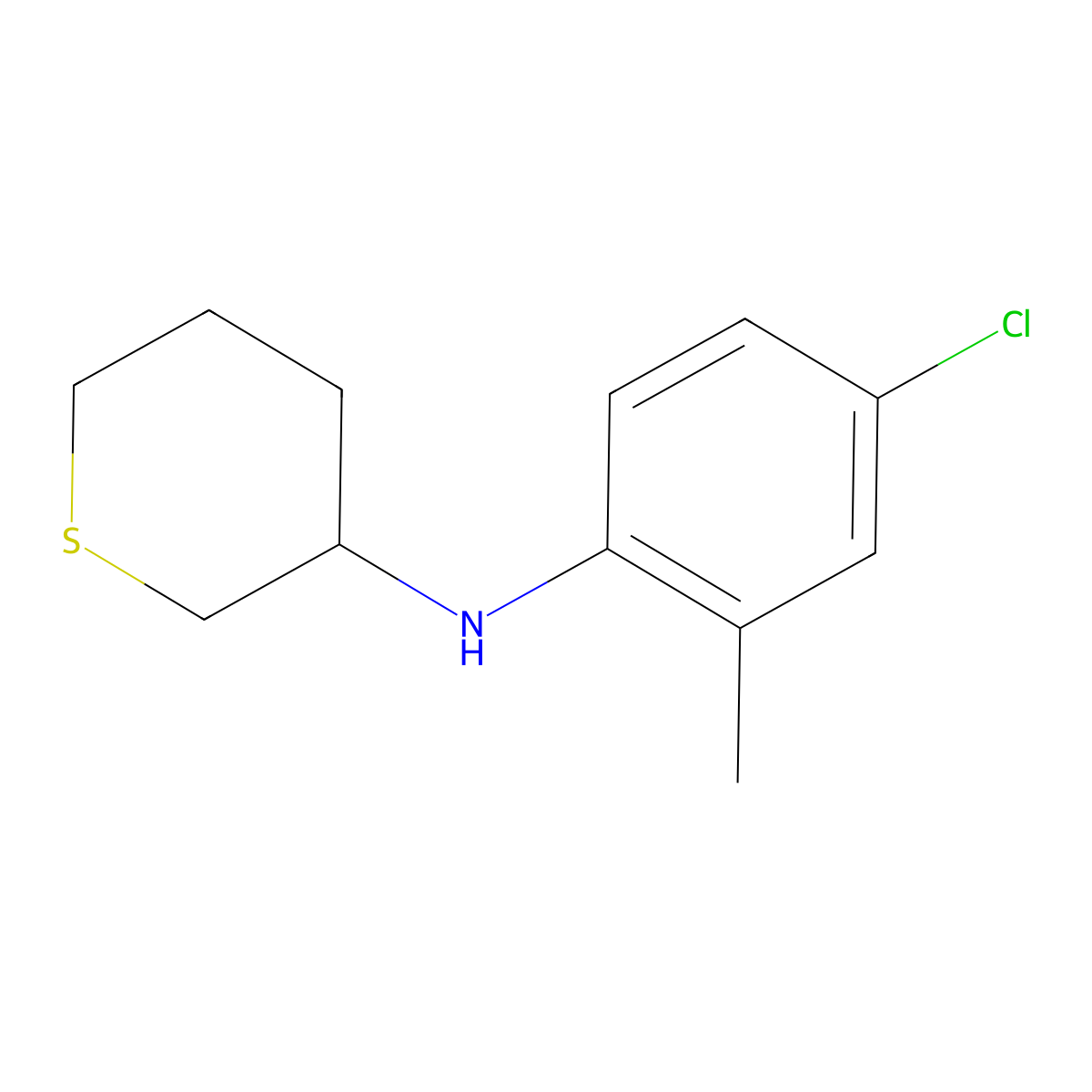 N-(4-chloro-2-methylphenyl)thian-3-amine molecular structure, CAS 1344292-49-4