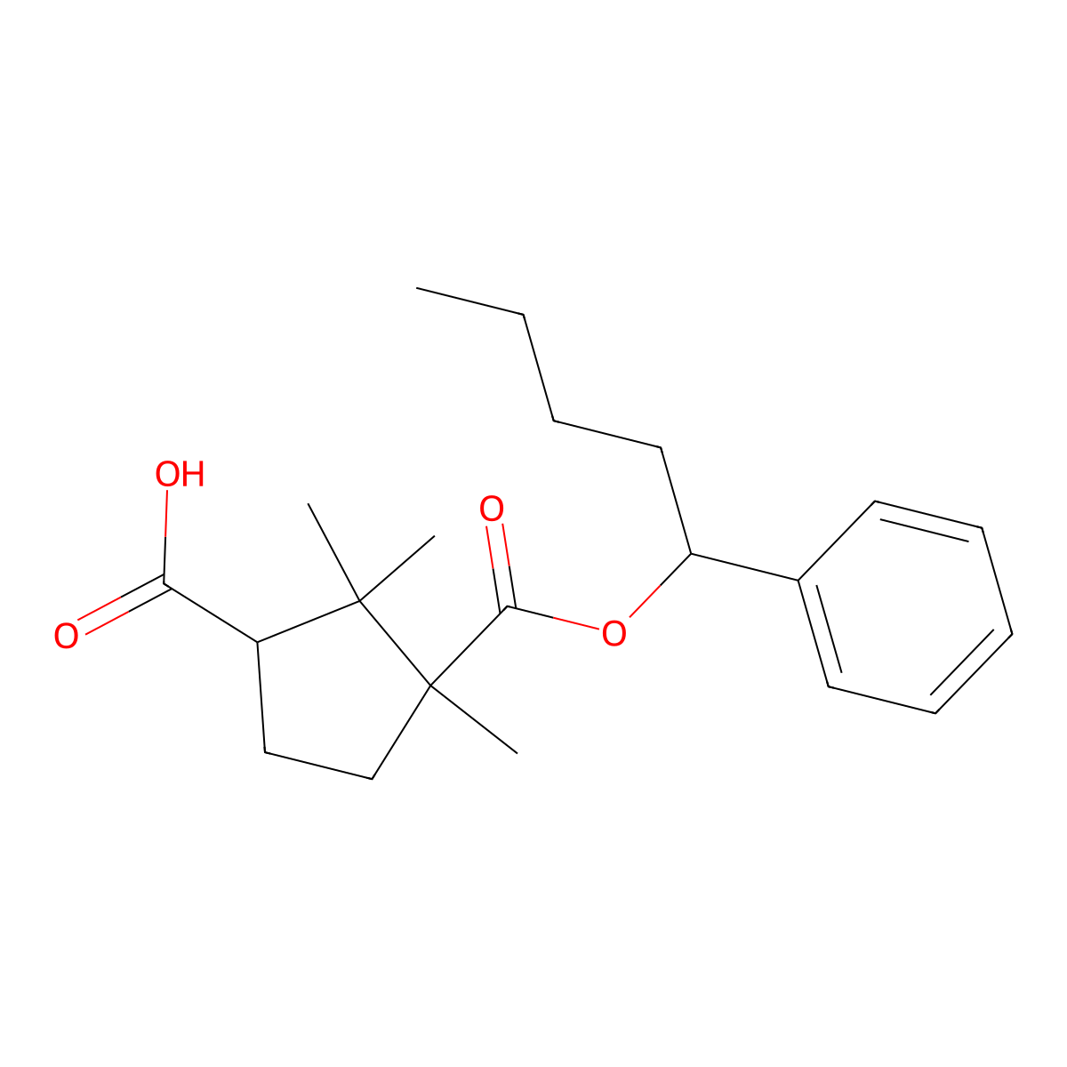 alpha-Phenylpentyl camphorate molecular structure, CAS 13445-75-5