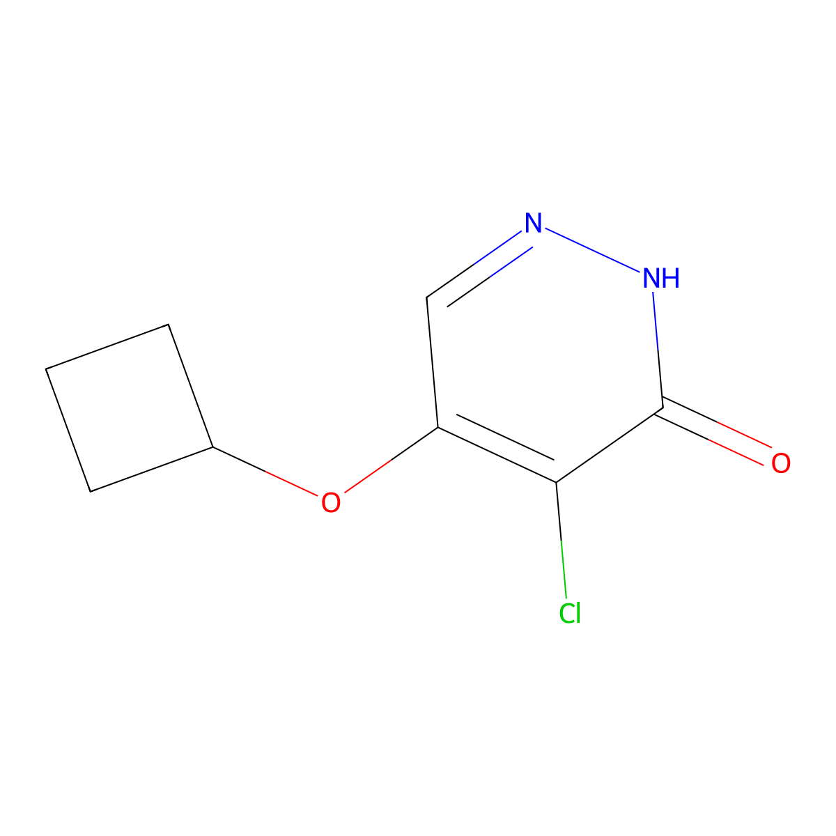 4-chloro-5-cyclobutoxypyridazin-3(2H)-one molecular structure, CAS 1346697-55-9