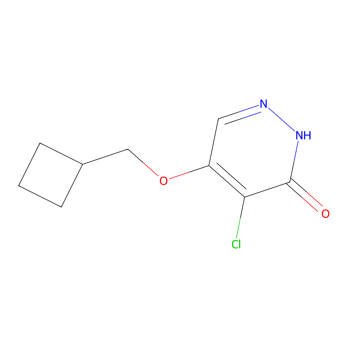 4-chloro-5-(cyclobutylmethoxy)pyridazin-3(2H)-one molecular structure, CAS 1346697-59-3