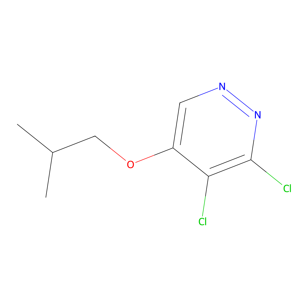 3,4-Dichloro-5-isobutoxypyridazine molecular structure, CAS 1346698-01-8