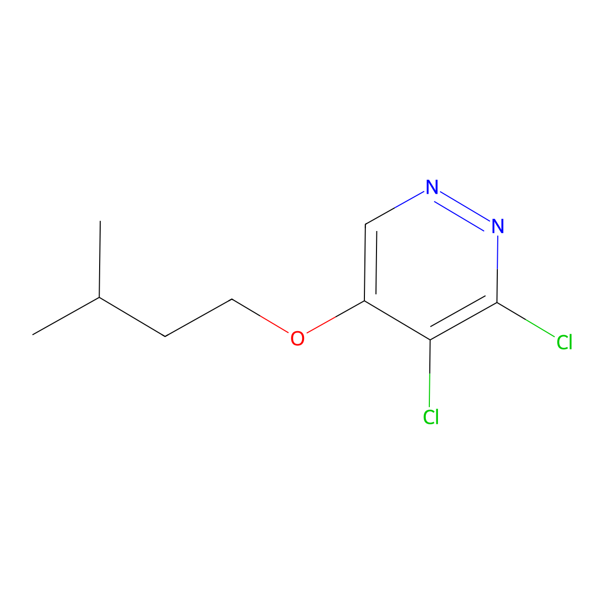3,4-Dichloro-5-(isopentyloxy)pyridazine molecular structure, CAS 1346698-05-2