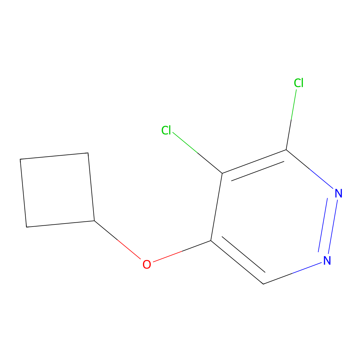 3,4-Dichloro-5-cyclobutoxypyridazine molecular structure, CAS 1346698-11-0