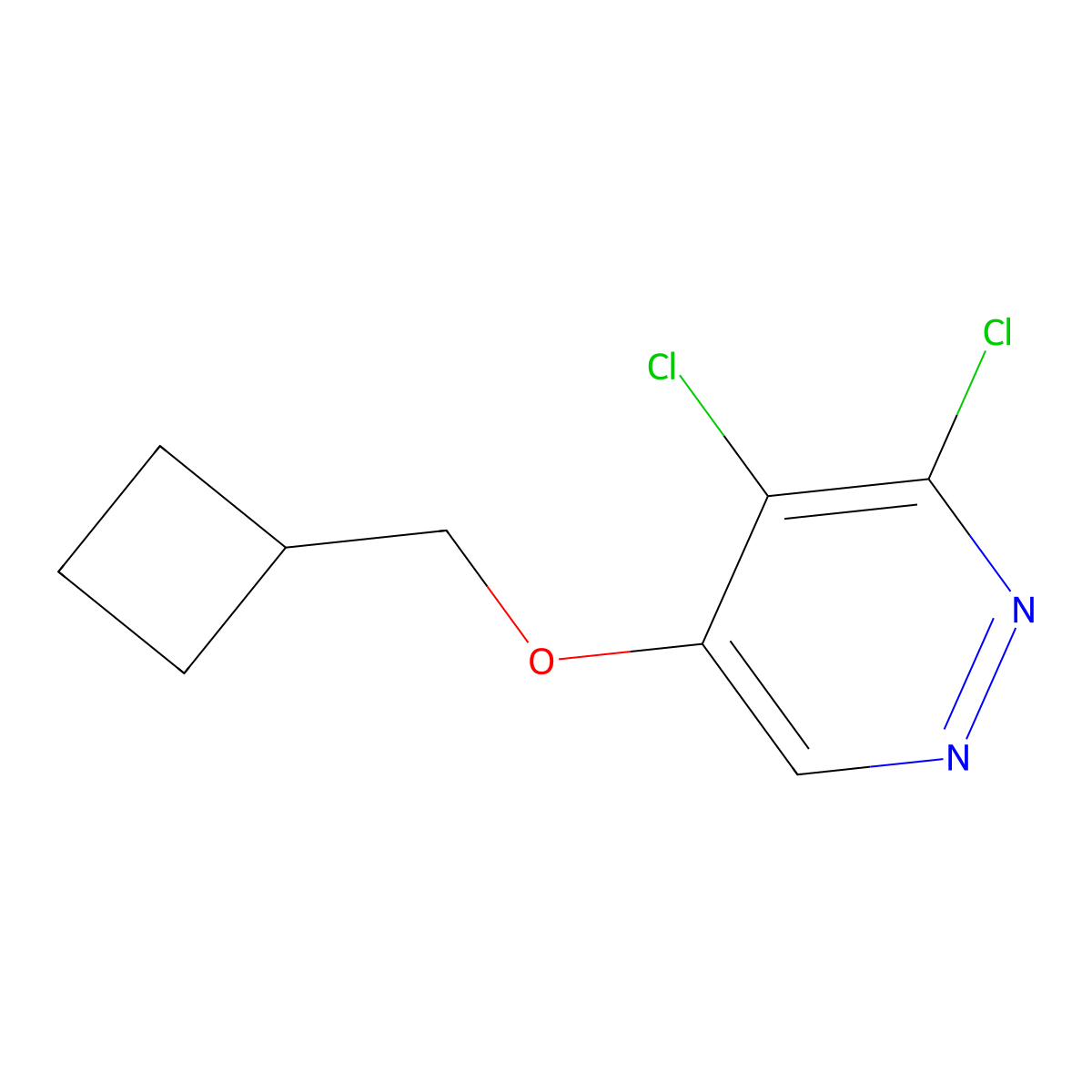 3,4-Dichloro-5-(cyclobutylmethoxy)pyridazine molecular structure, CAS 1346698-16-5