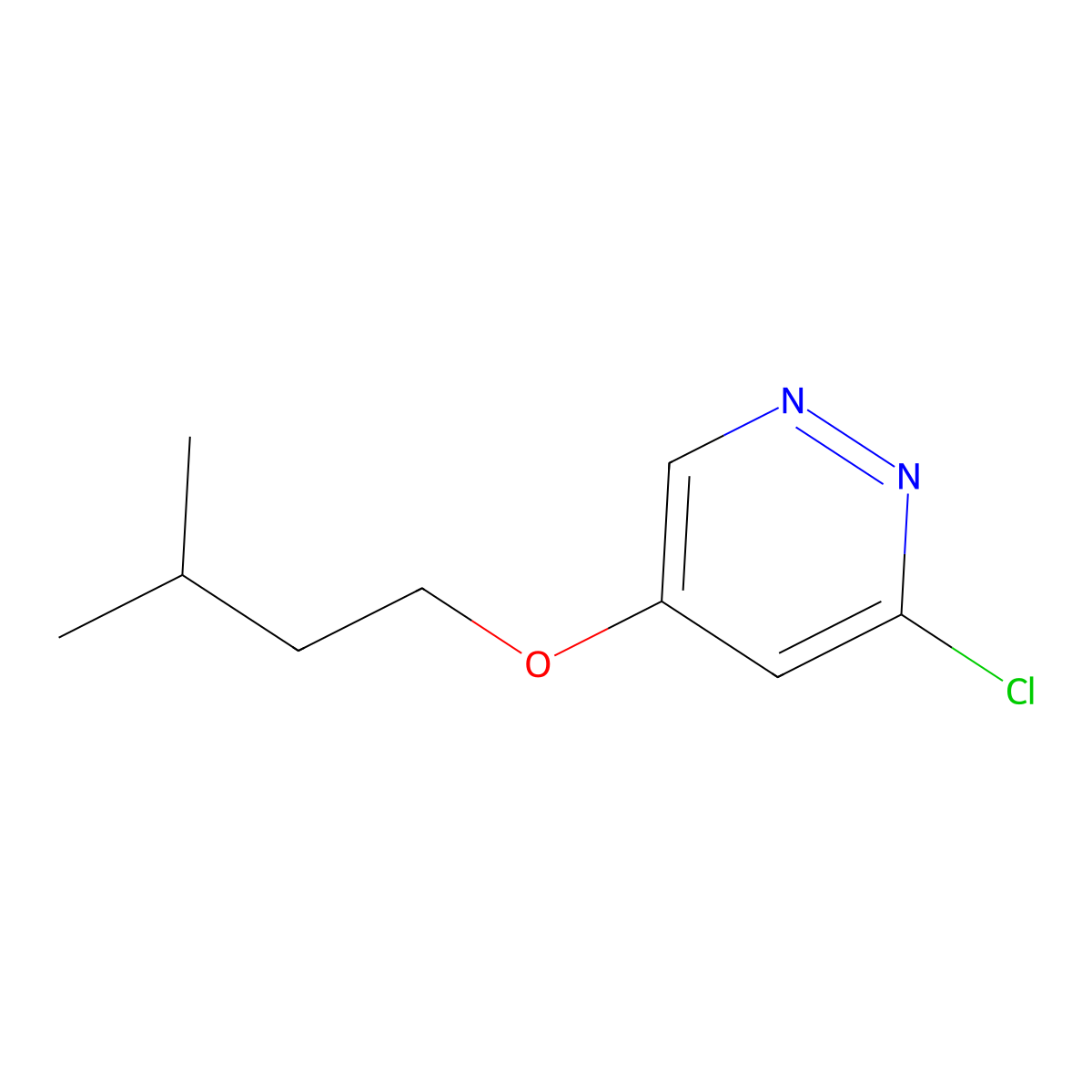 3-Chloro-5-(isopentyloxy)pyridazine molecular structure, CAS 1346698-37-0