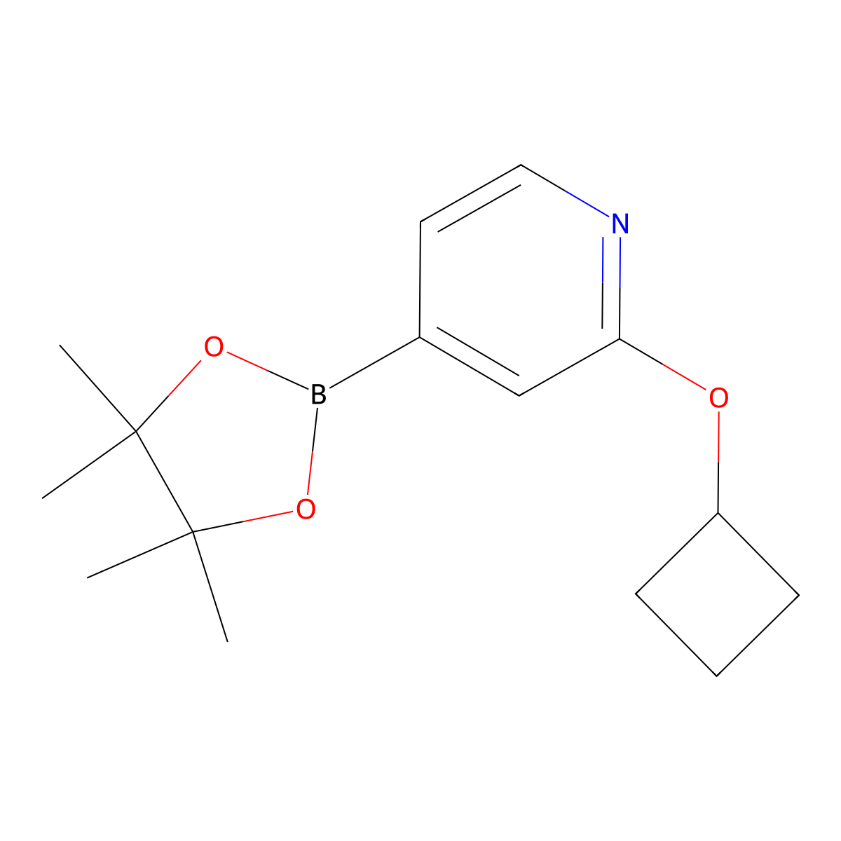 2-(Cyclobutoxy)pyridine-4-boronic acid pinacol ester molecular structure, CAS 1346707-96-7