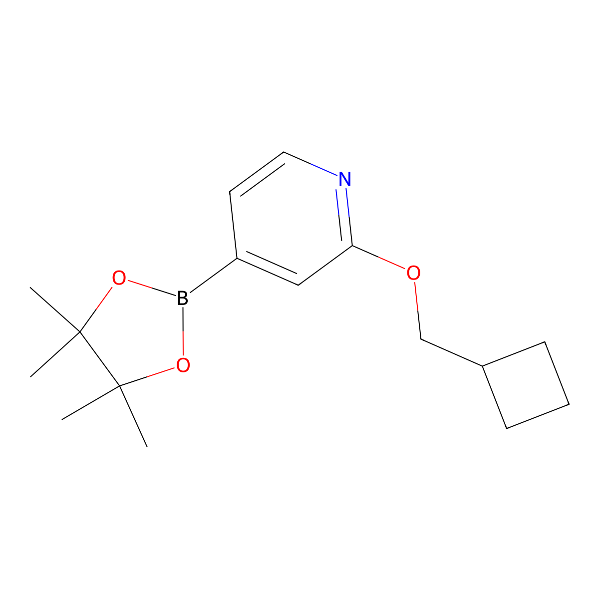 2-(Cyclobutylmethoxy)-4-(4,4,5,5-tetramethyl-1,3,2-dioxaborolan-2-yl)pyridine molecular structure, CAS 1346708-00-6
