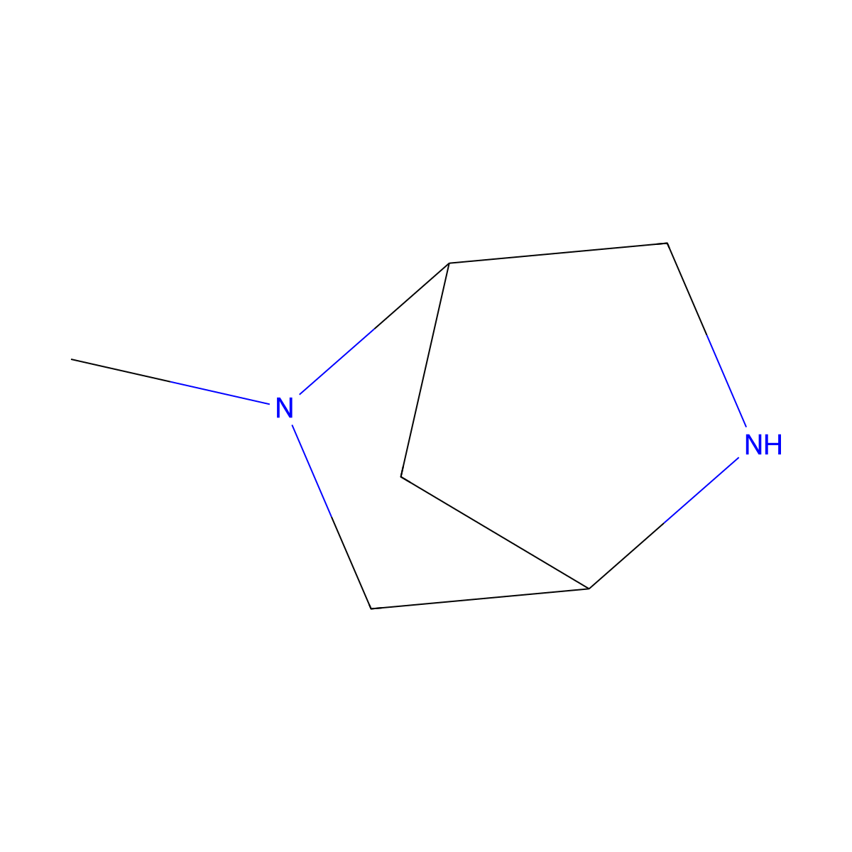 (1S,4S)-2-Methyl-2,5-diazabicyclo[2.2.1]heptane molecular structure, CAS 134679-22-4