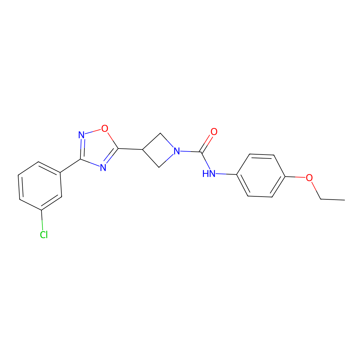 3-[3-(3-chlorophenyl)-1,2,4-oxadiazol-5-yl]-N-(4-ethoxyphenyl)azetidine-1-carboxamide molecular structure, CAS 1351584-67-2