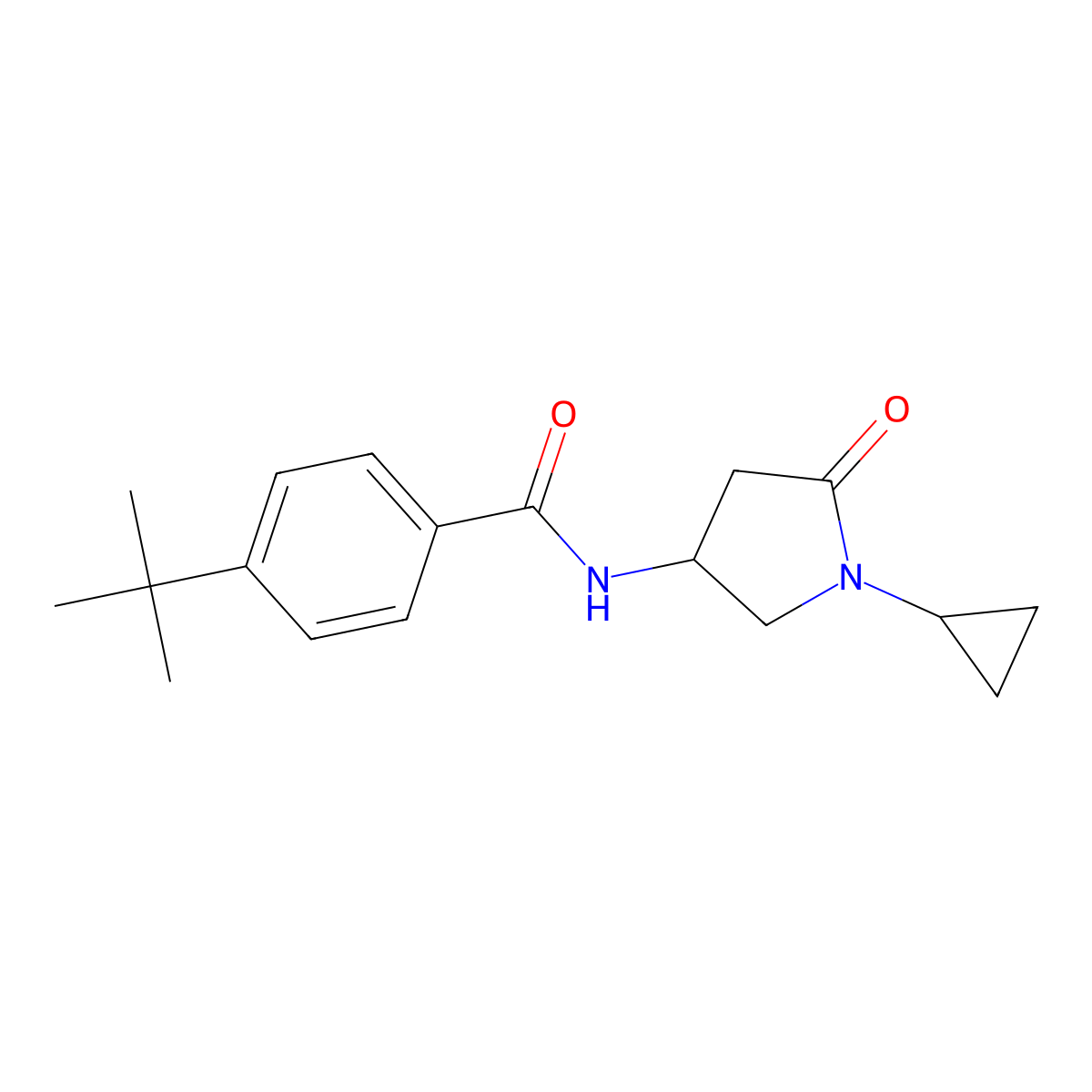 4-tert-butyl-N-(1-cyclopropyl-5-oxopyrrolidin-3-yl)benzamide molecular structure, CAS 1351586-08-7