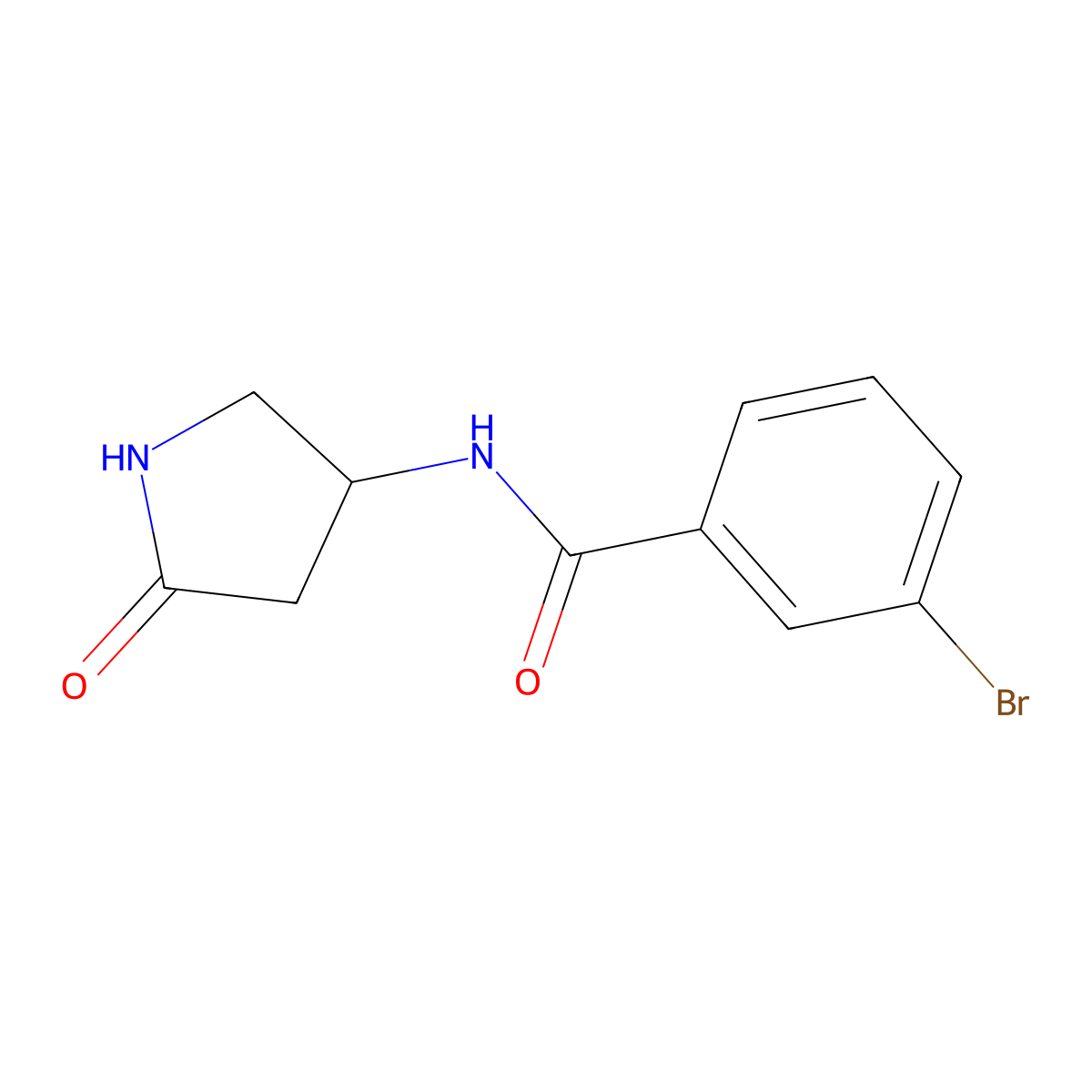 3-bromo-N-(5-oxopyrrolidin-3-yl)benzamide molecular structure, CAS 1351588-88-9