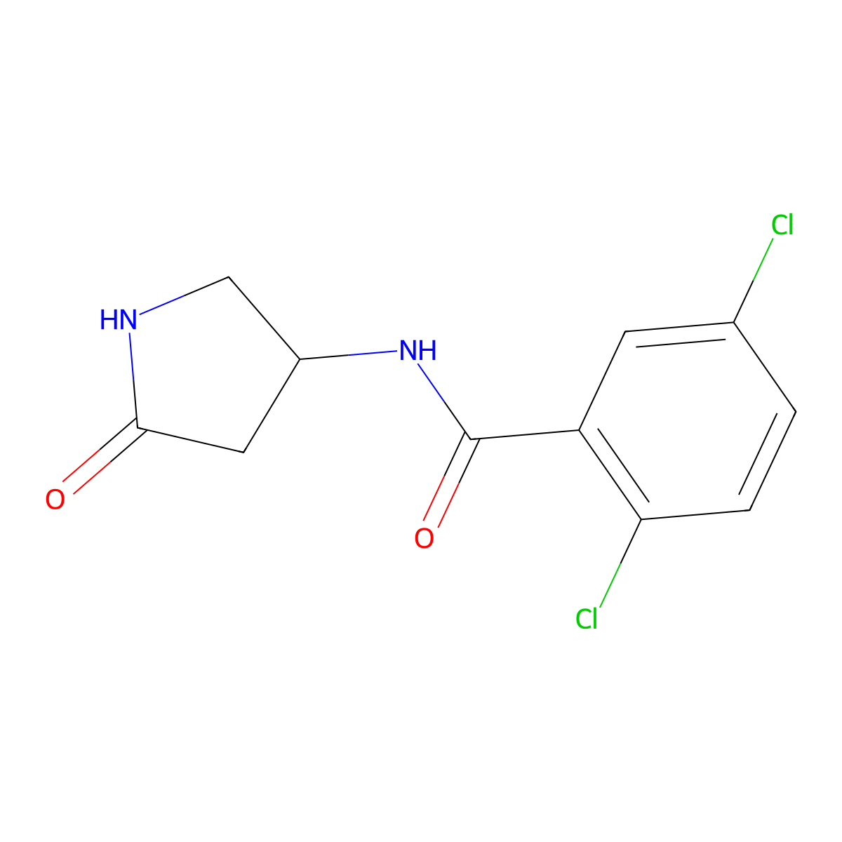 2,5-dichloro-N-(5-oxopyrrolidin-3-yl)benzamide molecular structure, CAS 1351602-04-4