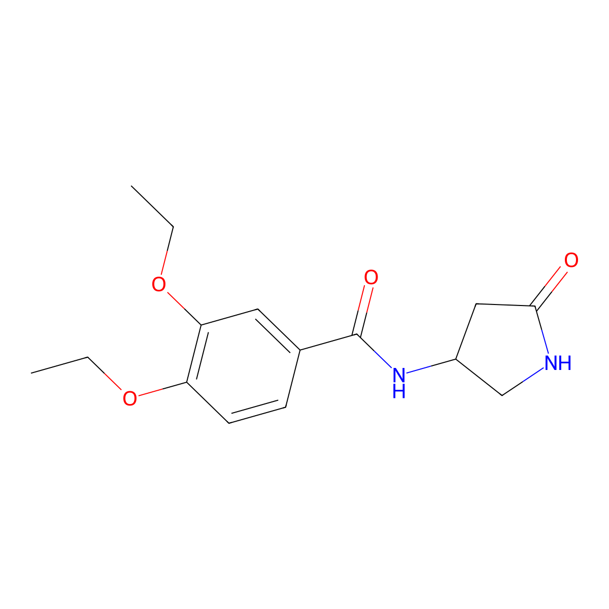 3,4-diethoxy-N-(5-oxopyrrolidin-3-yl)benzamide molecular structure, CAS 1351618-87-5