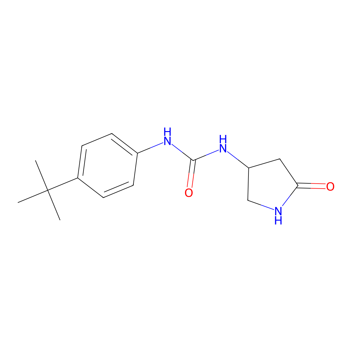 1-(4-Tert-butylphenyl)-3-(5-oxopyrrolidin-3-yl)urea molecular structure, CAS 1351619-03-8