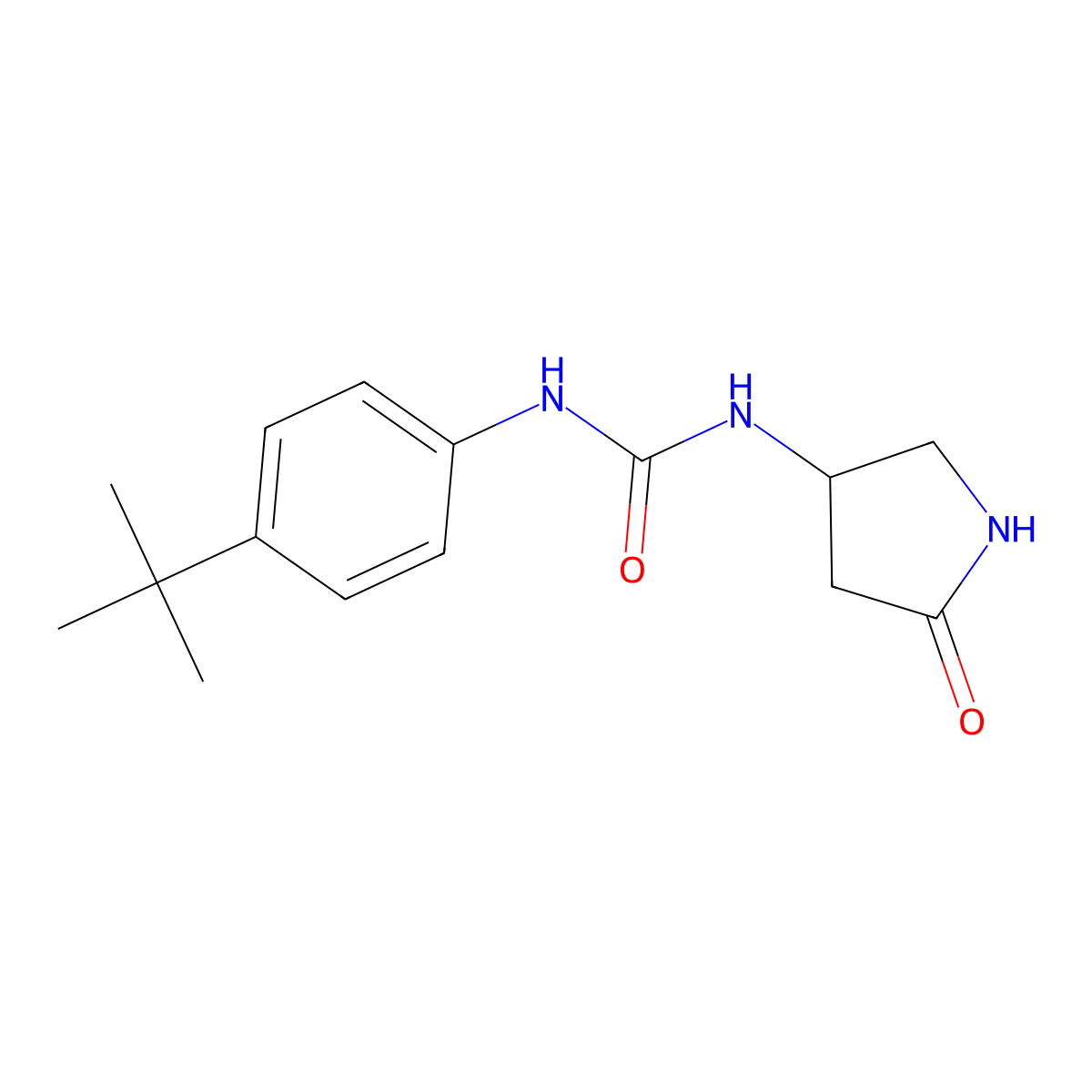 1-(4-Tert-butylphenyl)-3-(5-oxopyrrolidin-3-yl)urea molecular structure, CAS 1351619-03-8