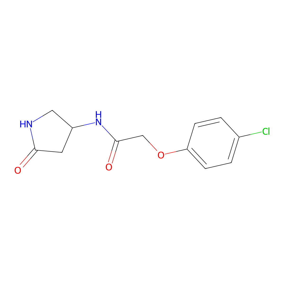 2-(4-chlorophenoxy)-N-(5-oxopyrrolidin-3-yl)acetamide molecular structure, CAS 1351632-56-8