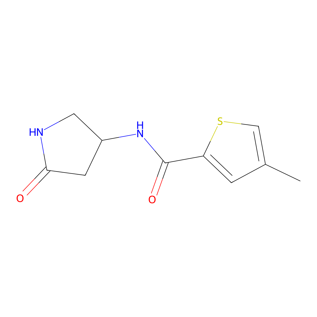4-methyl-N-(5-oxopyrrolidin-3-yl)thiophene-2-carboxamide molecular structure, CAS 1351648-45-7