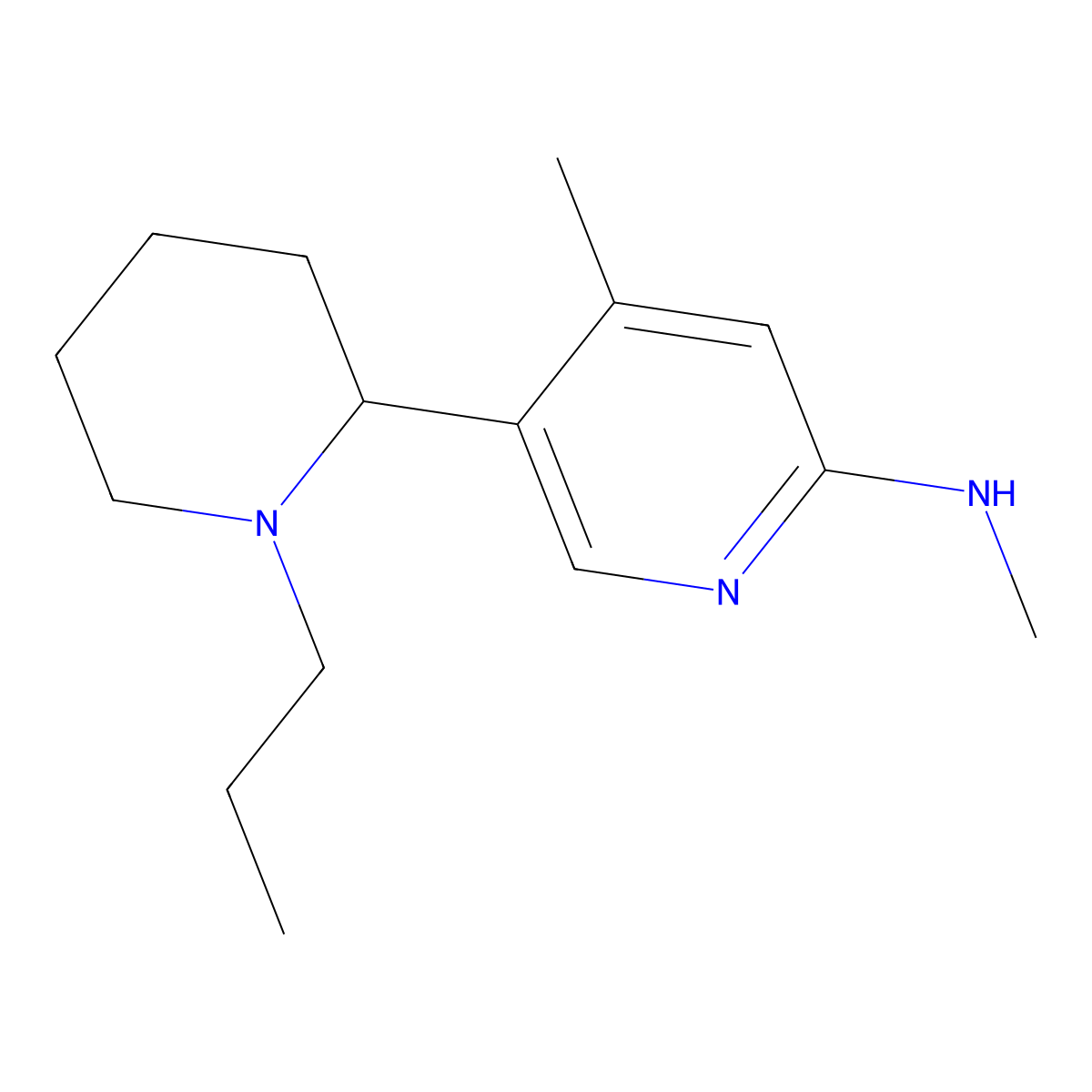 N,4-Dimethyl-5-(1-propylpiperidin-2-yl)pyridin-2-amine molecular structure, CAS 1352502-26-1