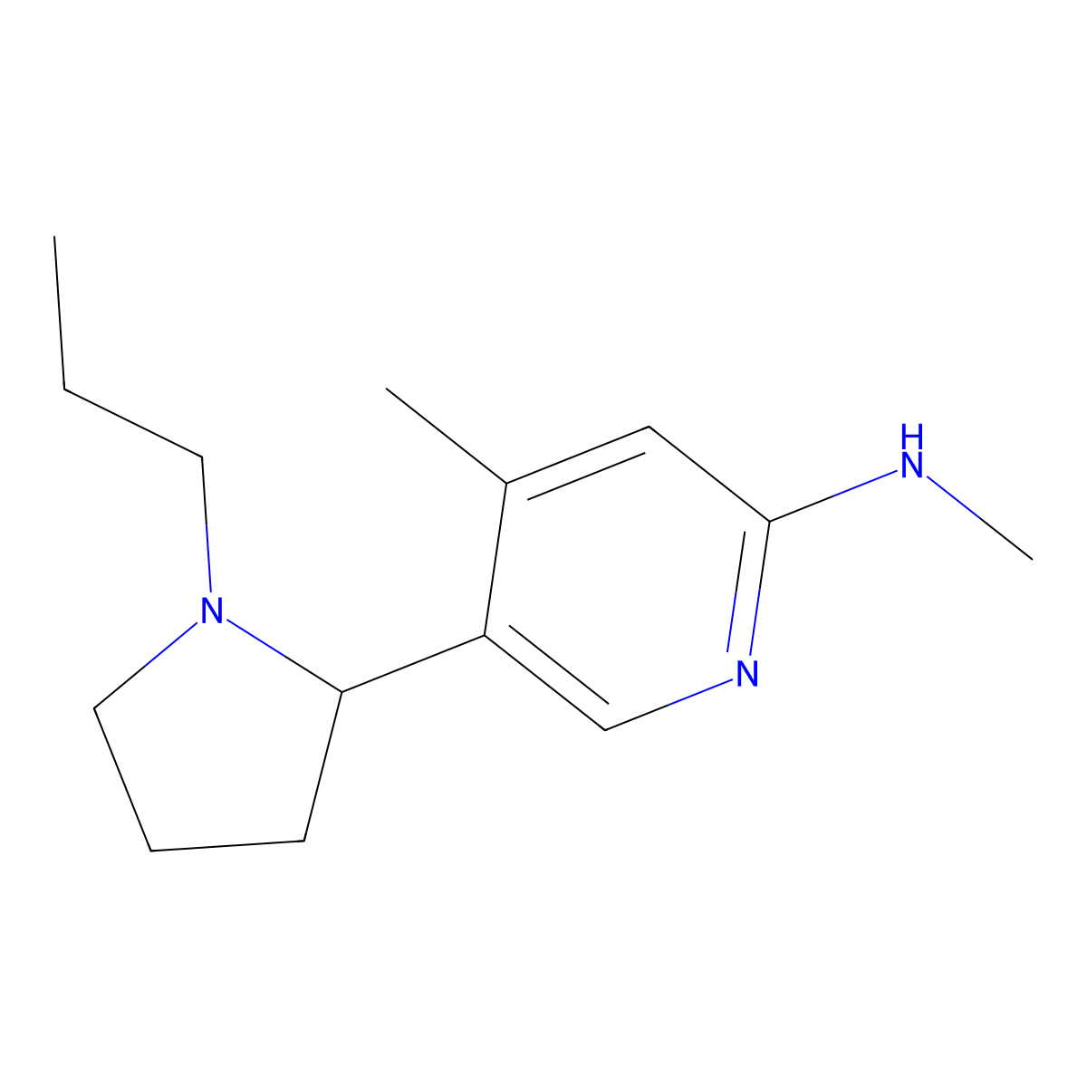 N,4-Dimethyl-5-(1-propylpyrrolidin-2-yl)pyridin-2-amine molecular structure, CAS 1352539-10-6