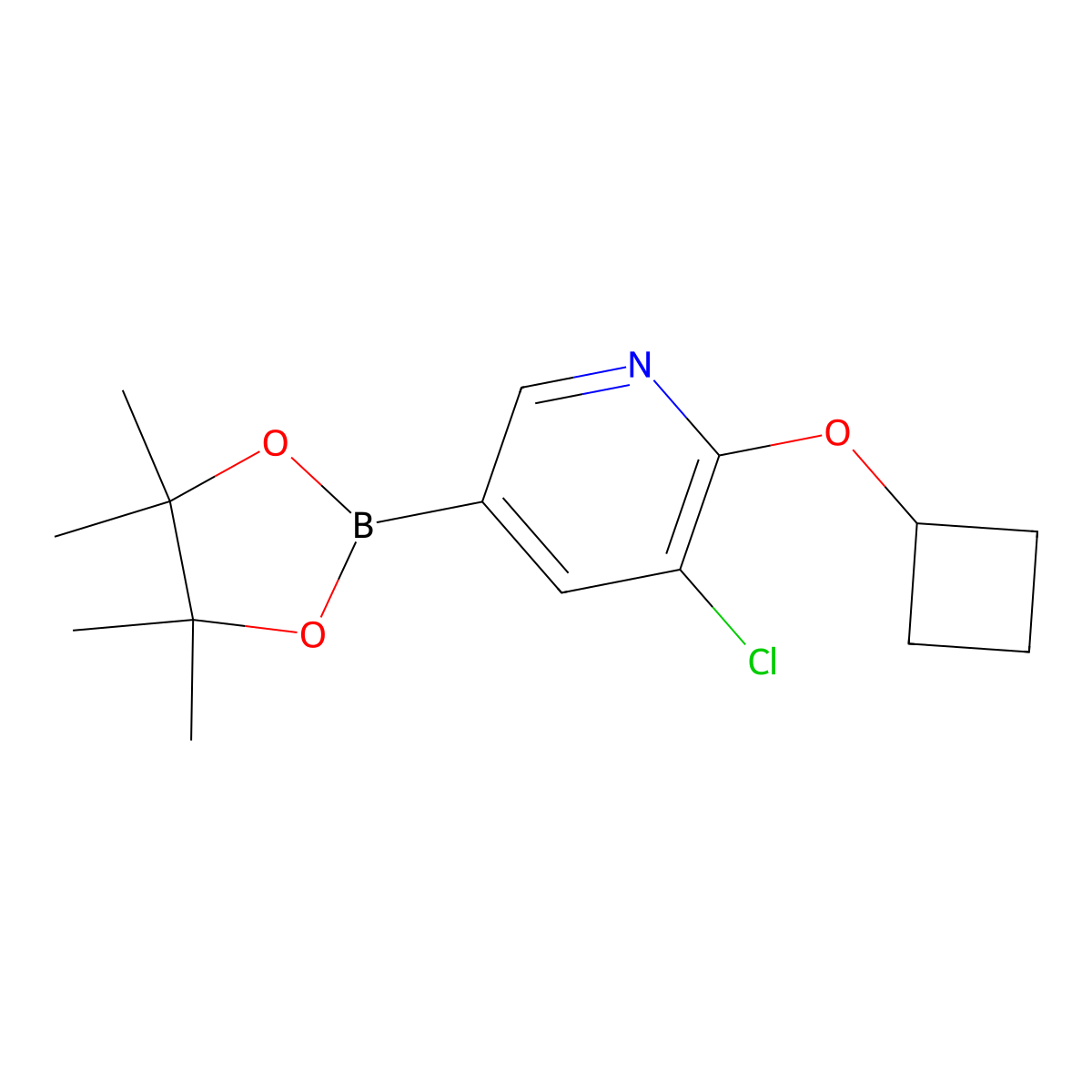 3-Chloro-2-cyclobutoxy-5-(4,4,5,5-tetramethyl-1,3,2-dioxaborolan-2-YL)pyridine molecular structure, CAS 1352573-92-2