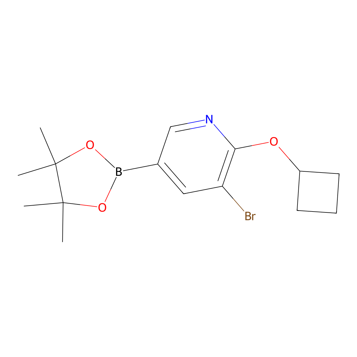5-Bromo-6-(cyclobutoxy)pyridine-3-boronic acid pinacol ester molecular structure, CAS 1352574-15-2