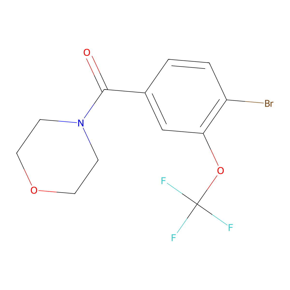 (4-Bromo-3-(trifluoromethoxy)phenyl)(morpholino)methanone molecular structure, CAS 1352621-30-7