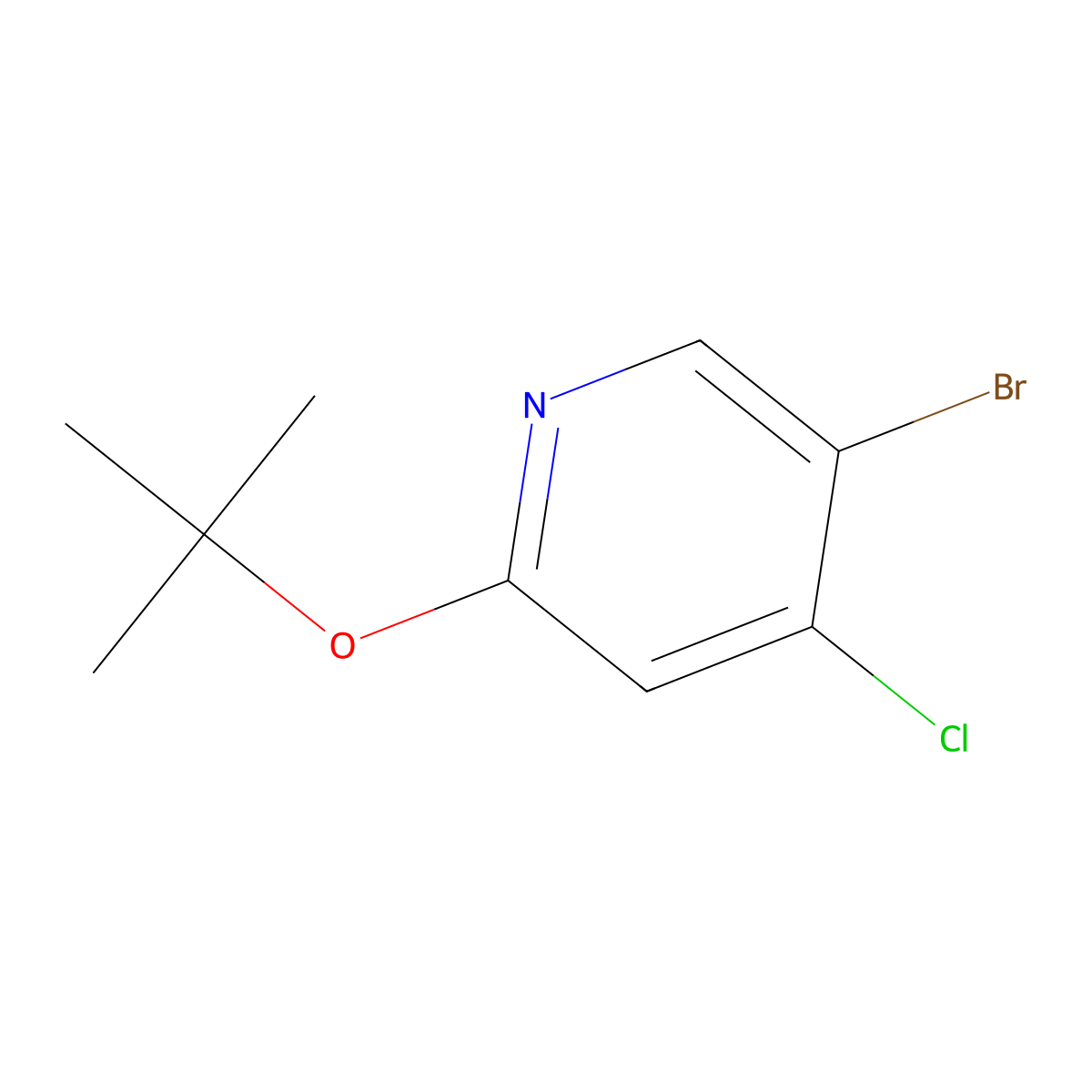 4-Chloro-5-bromo-2-(tert-butoxy)pyridine molecular structure, CAS 1353855-08-9