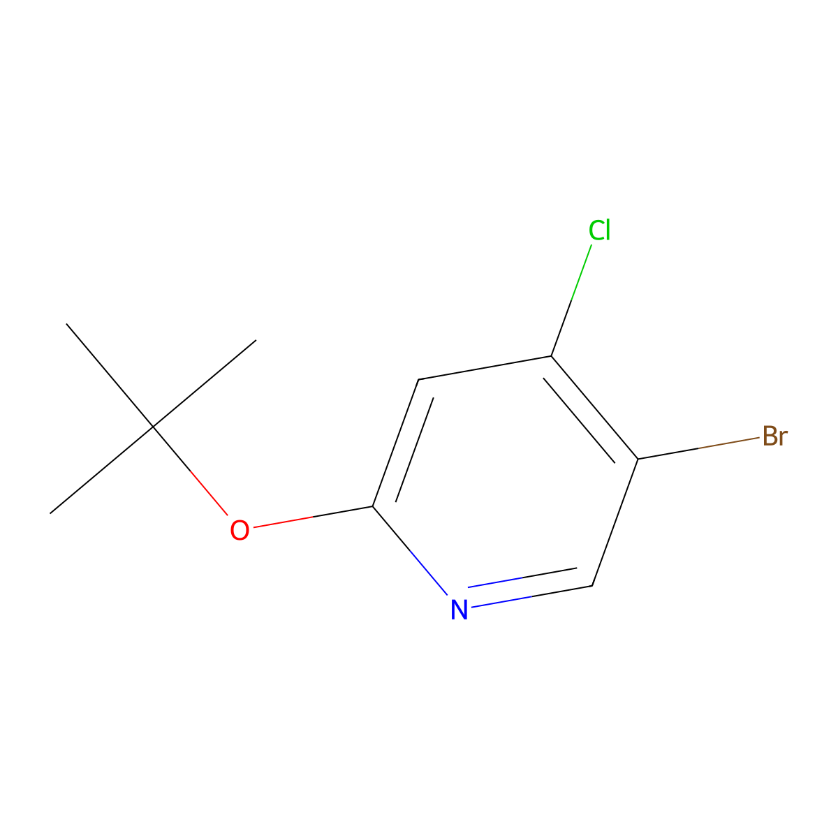 4-Chloro-5-bromo-2-(tert-butoxy)pyridine molecular structure, CAS 1353855-08-9