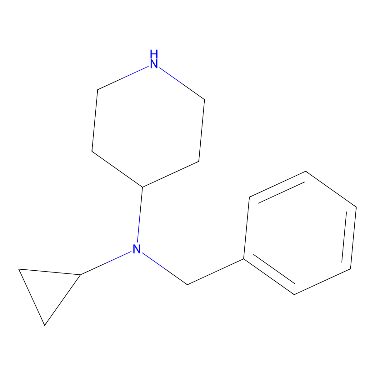 Benzyl-cyclopropyl-piperidin-4-yl-amine molecular structure, CAS 1353982-69-0