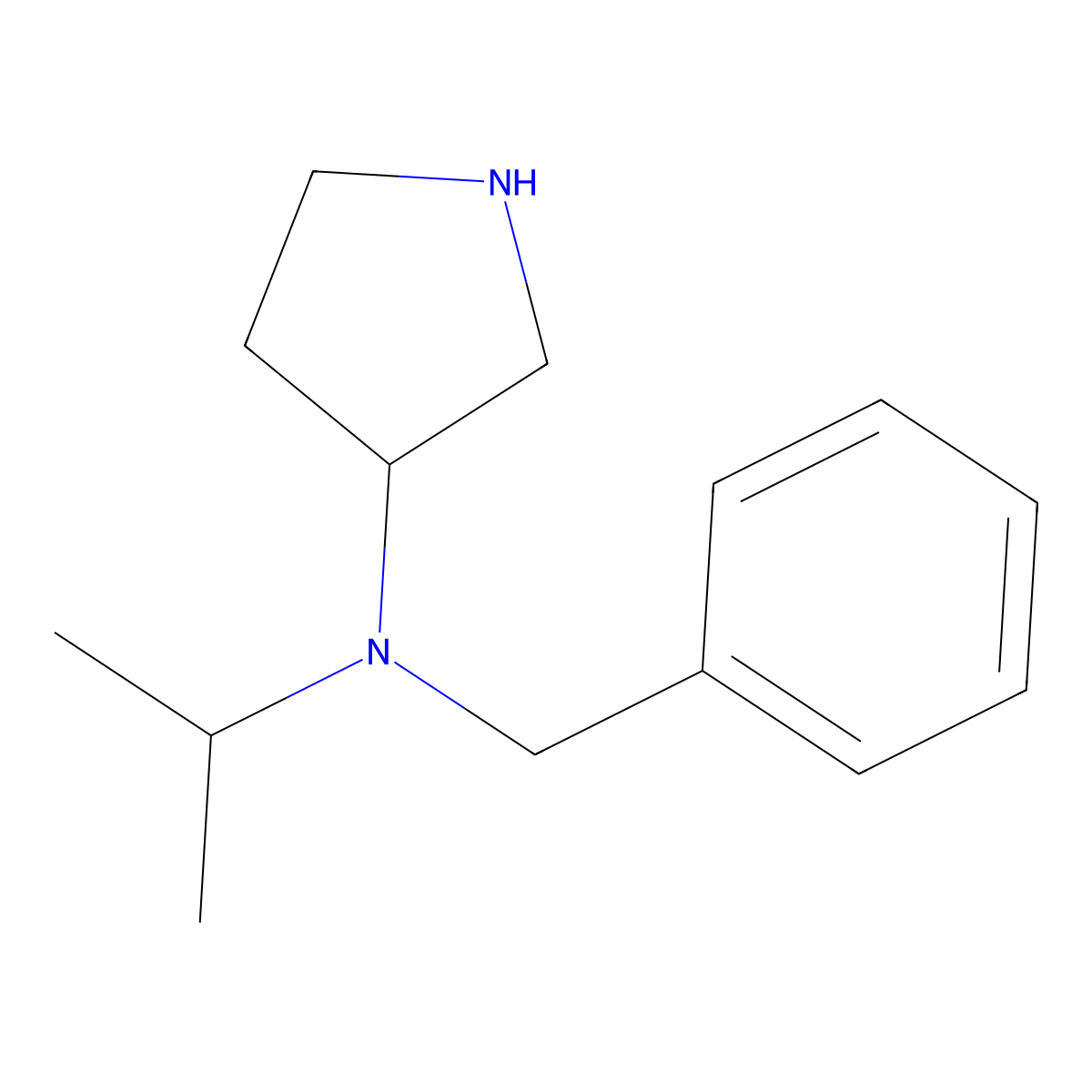 Benzyl-isopropyl-pyrrolidin-3-yl-amine molecular structure, CAS 1353987-01-5