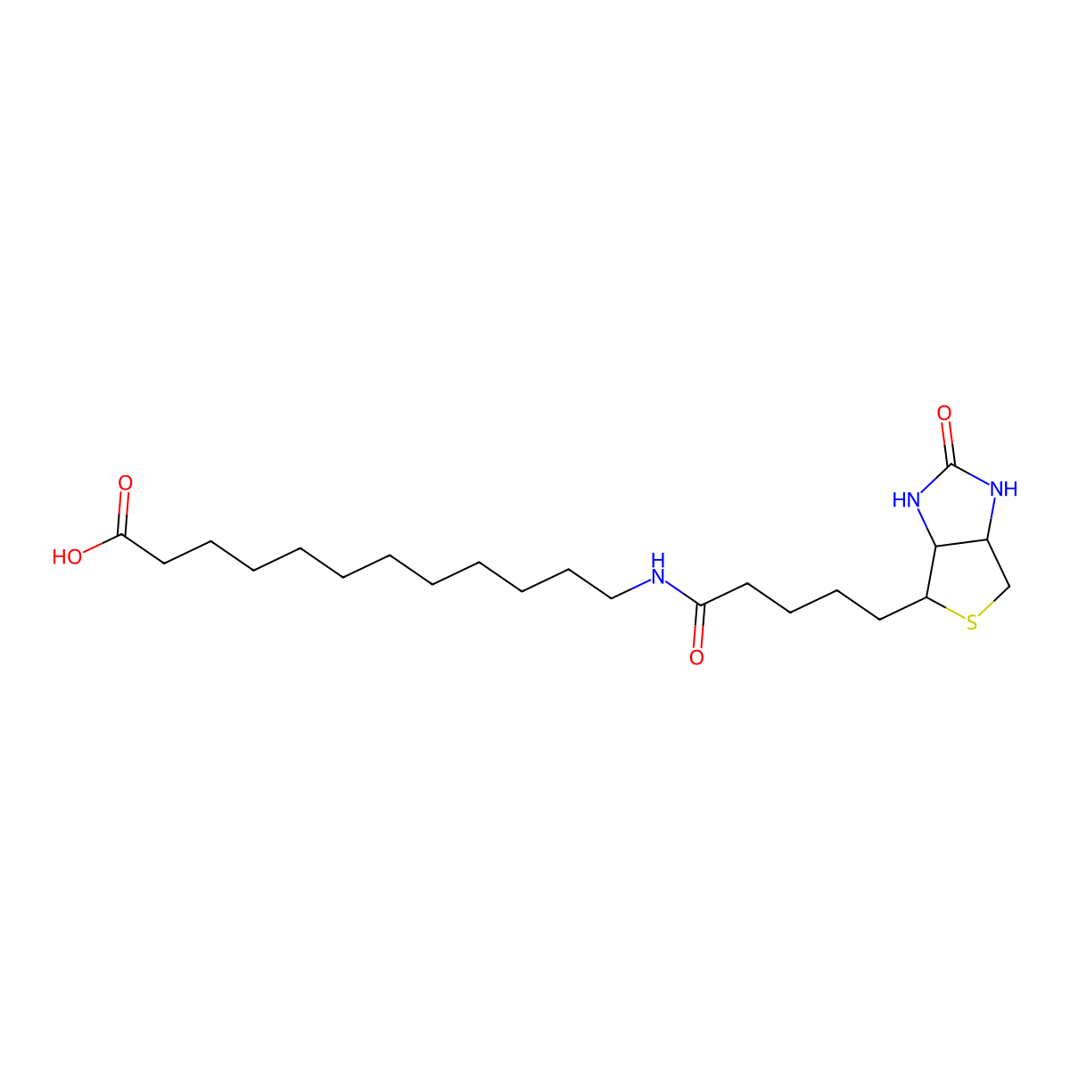 N-Biotinyl-12-aminododecanoic Acid molecular structure, CAS 135447-73-3