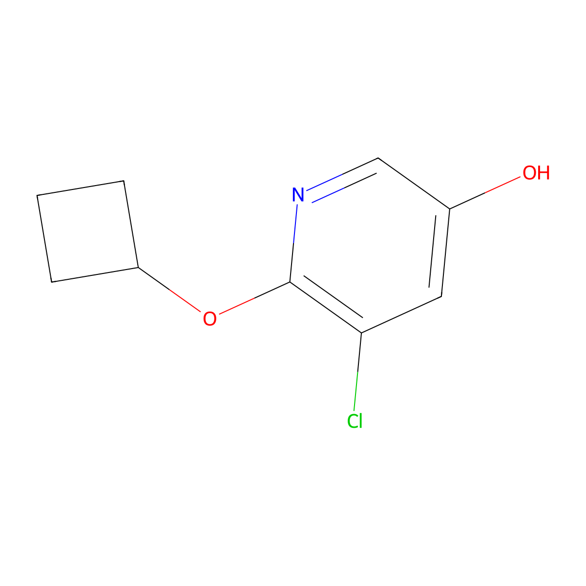 5-Chloro-6-cyclobutoxypyridin-3-OL molecular structure, CAS 1355066-45-3
