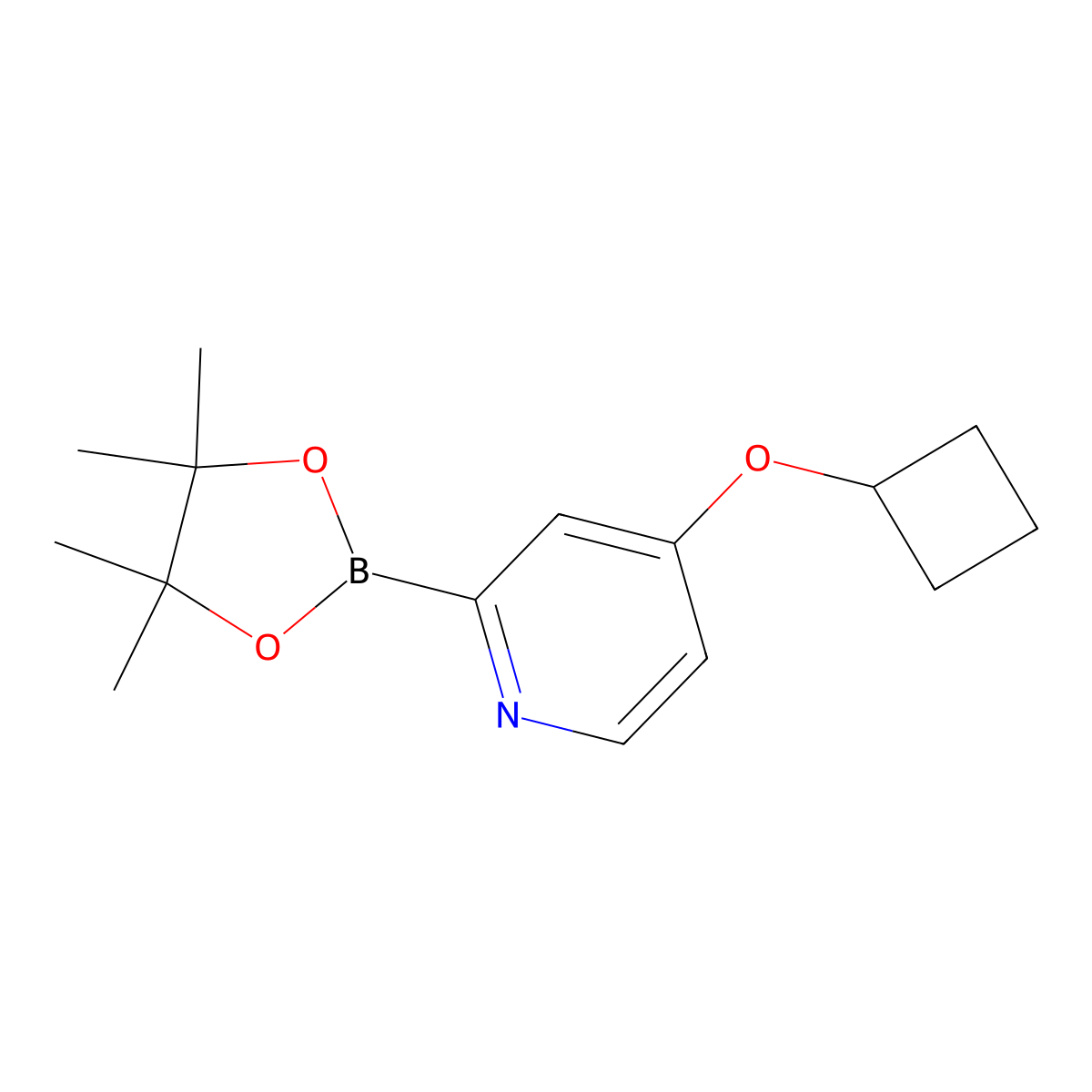 4-Cyclobutoxy-2-(4,4,5,5-tetramethyl-1,3,2-dioxaborolan-2-YL)pyridine molecular structure, CAS 1355393-48-4