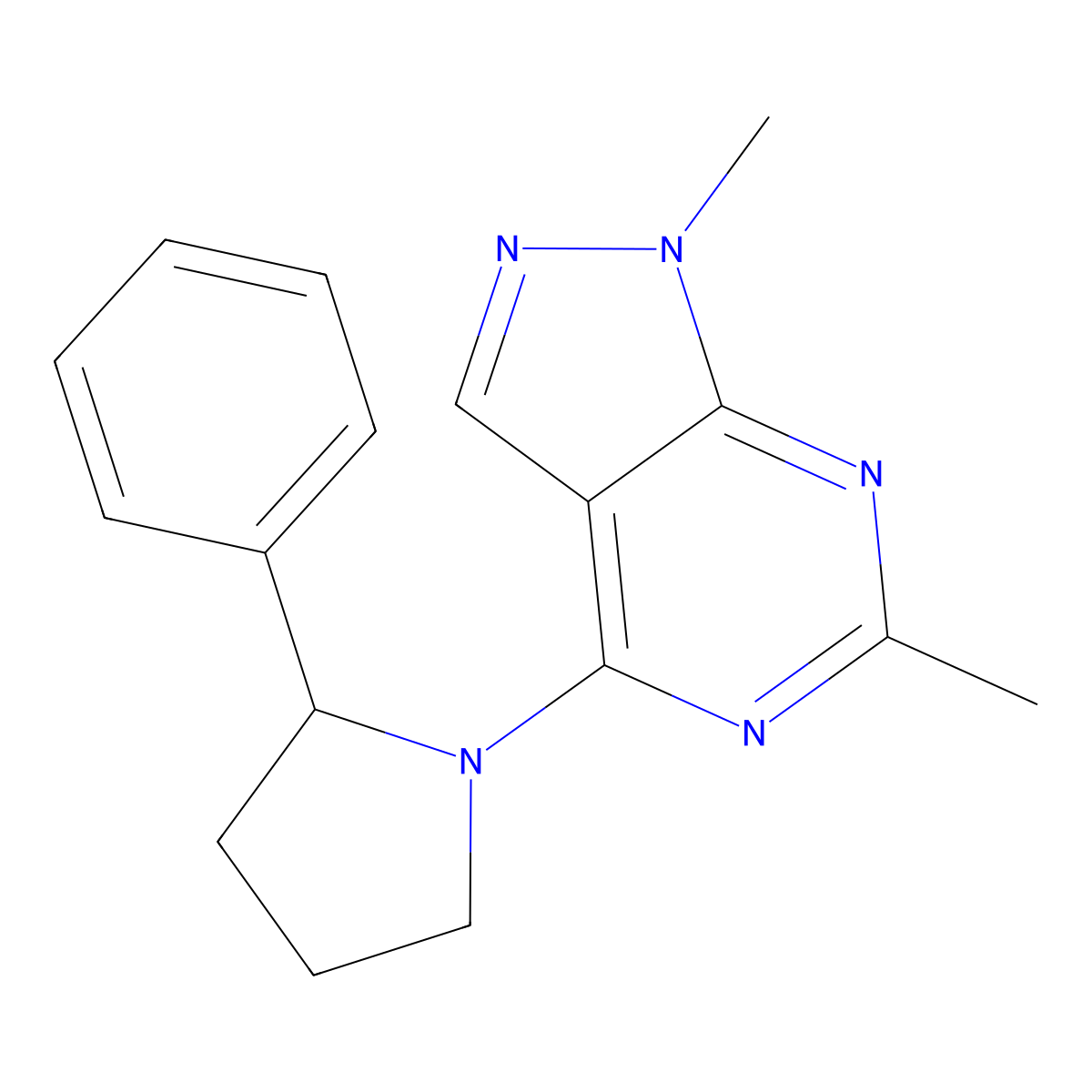 1-{1,6-dimethyl-1H-pyrazolo[3,4-d]pyrimidin-4-yl}-2-phenylpyrrolidine molecular structure, CAS 1355873-52-7