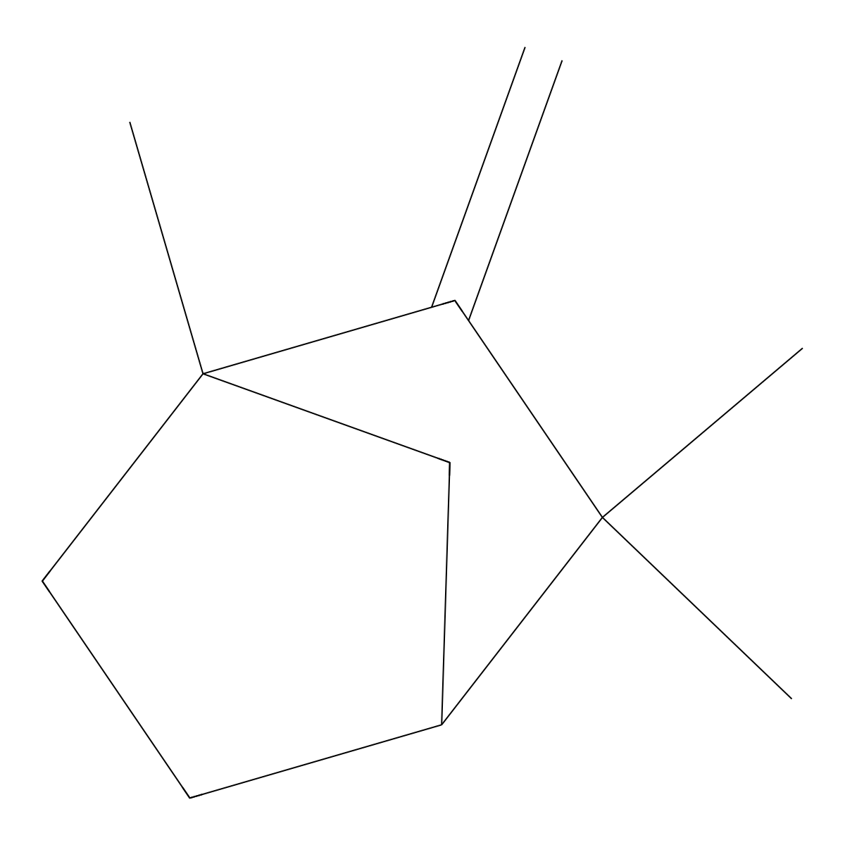 Bicyclo[2.2.1]heptane, 1,3,3-trimethyl-2-methylene- molecular structure, CAS 13567-57-2