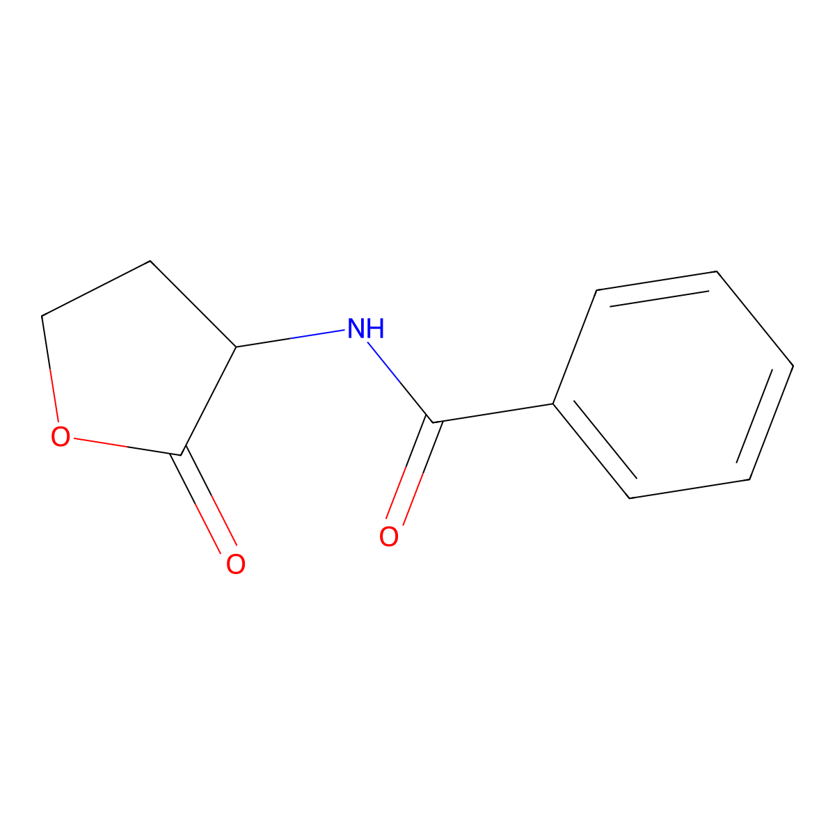 N-(Tetrahydro-2-oxo-3-furanyl)benzamide molecular structure, CAS 13602-48-7