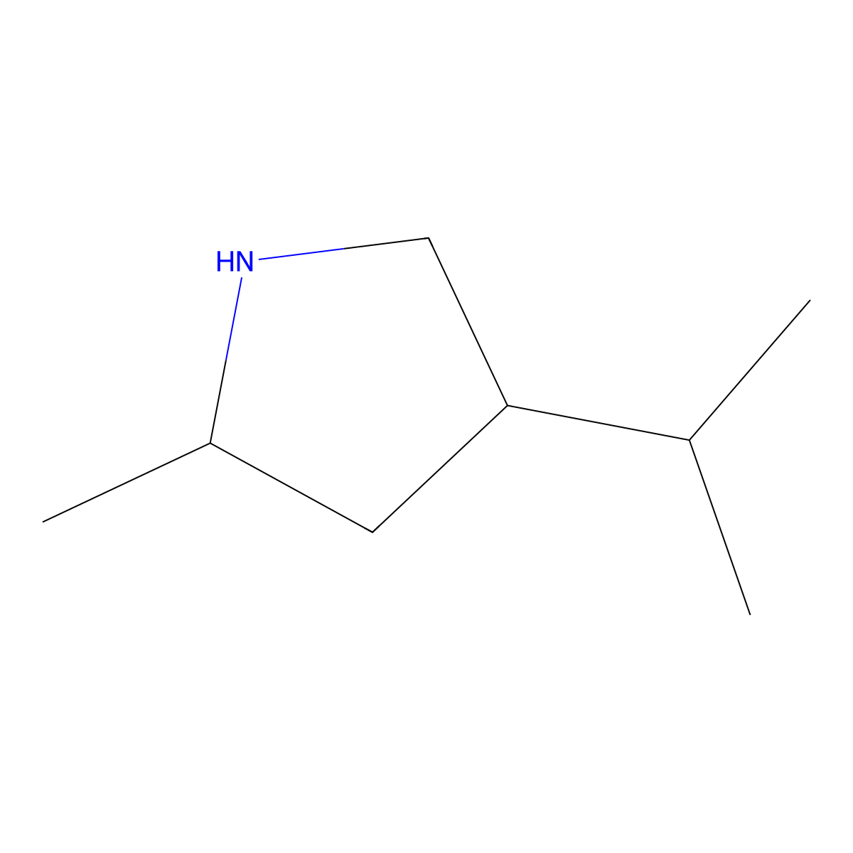 2-Methyl-4-(1-methylethyl)pyrrolidine molecular structure, CAS 13603-16-2