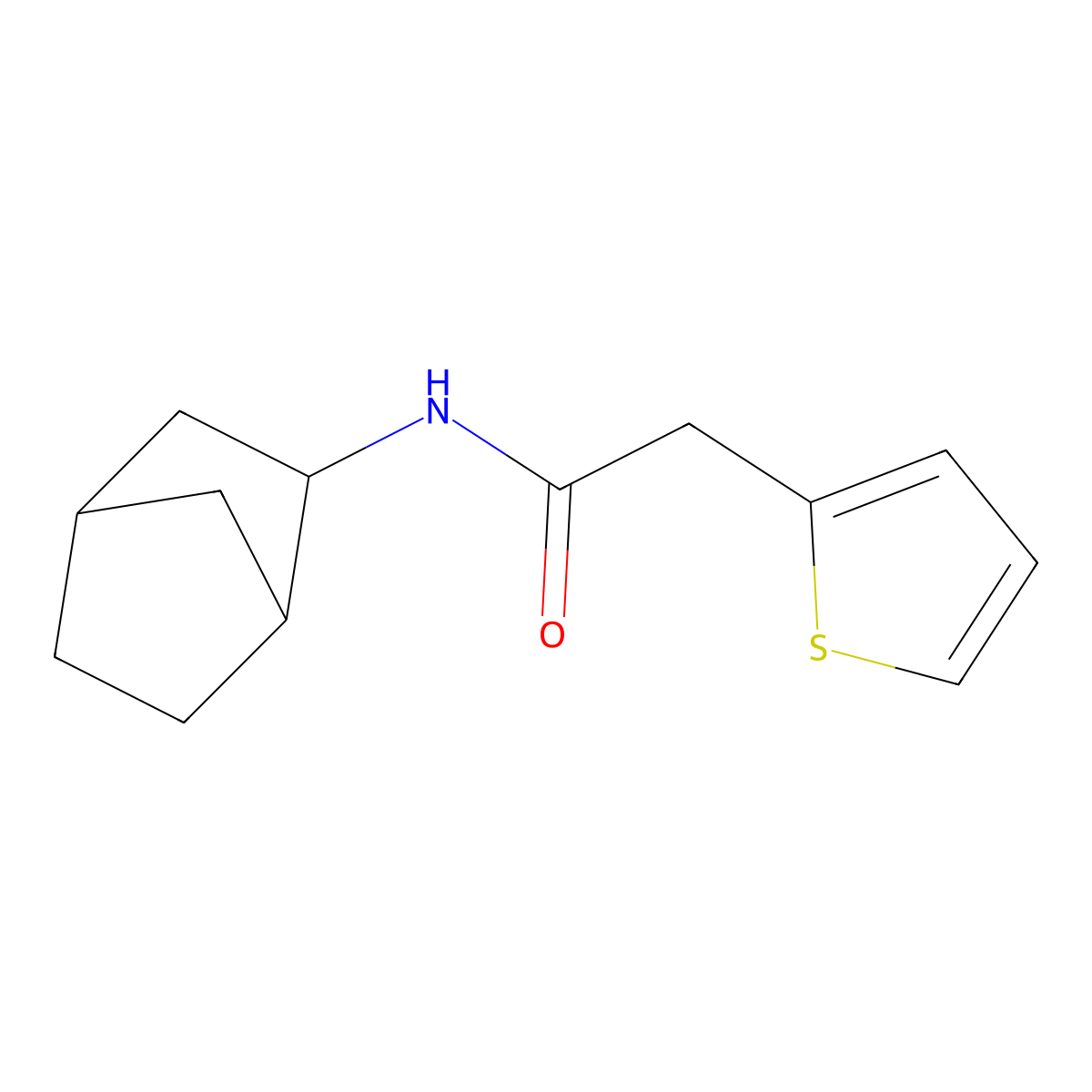 N-(bicyclo[2.2.1]hept-2-yl)-2-(thiophen-2-yl)acetamide molecular structure, CAS 1360371-98-7