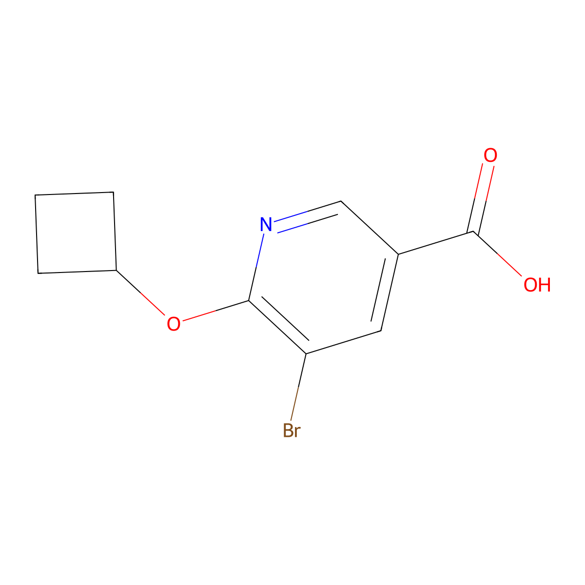 5-Bromo-6-cyclobutoxynicotinic acid molecular structure, CAS 1364678-46-5