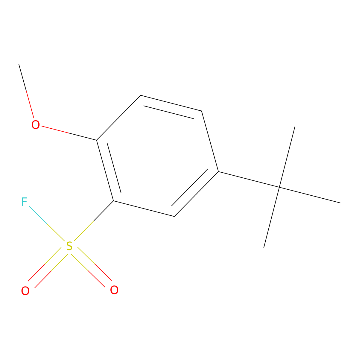 5-tert-Butyl-2-methoxybenzene-1-sulfonyl fluoride molecular structure, CAS 1368836-75-2