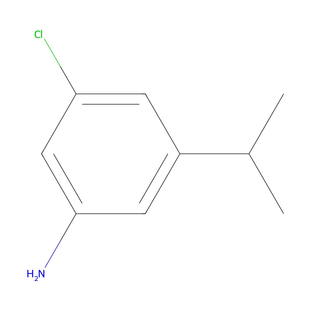 3-Chloro-5-(propan-2-yl)aniline molecular structure, CAS 1369887-46-6