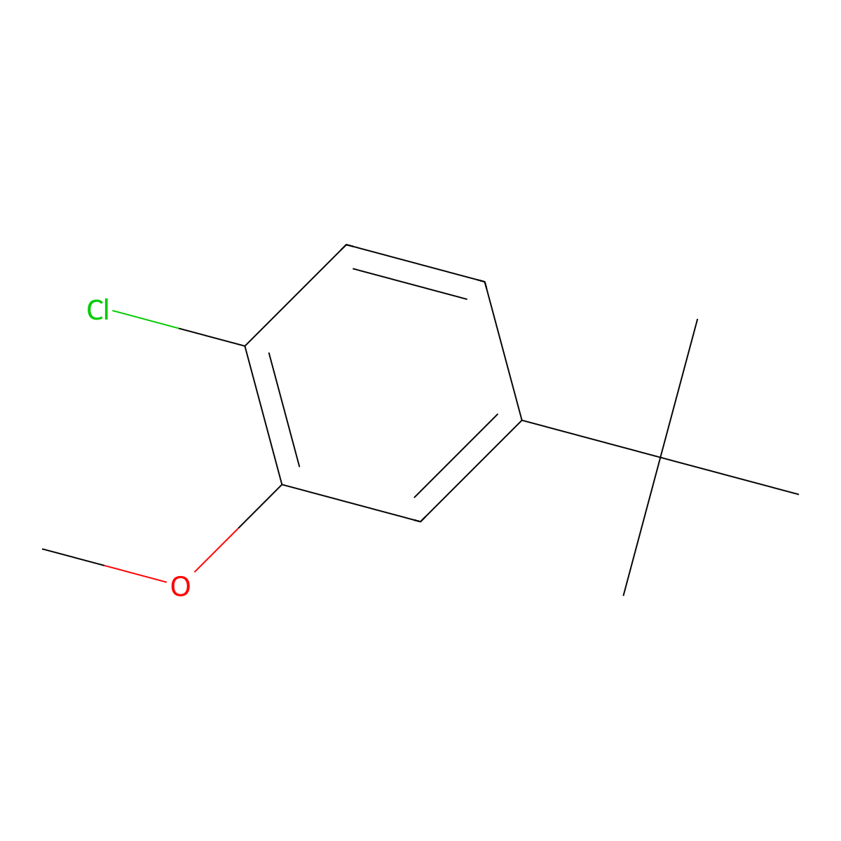 4-(tert-Butyl)-1-chloro-2-methoxybenzene molecular structure, CAS 1369950-17-3