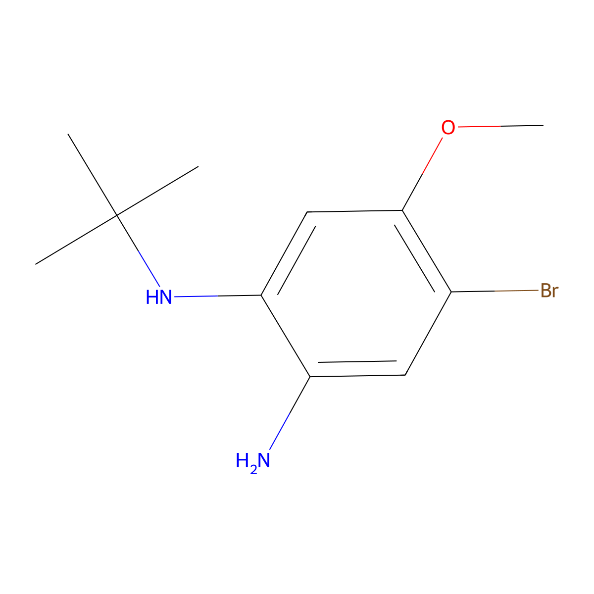 4-Bromo-1-N-tert-butyl-5-methoxybenzene-1,2-diamine molecular structure, CAS 1373232-55-3